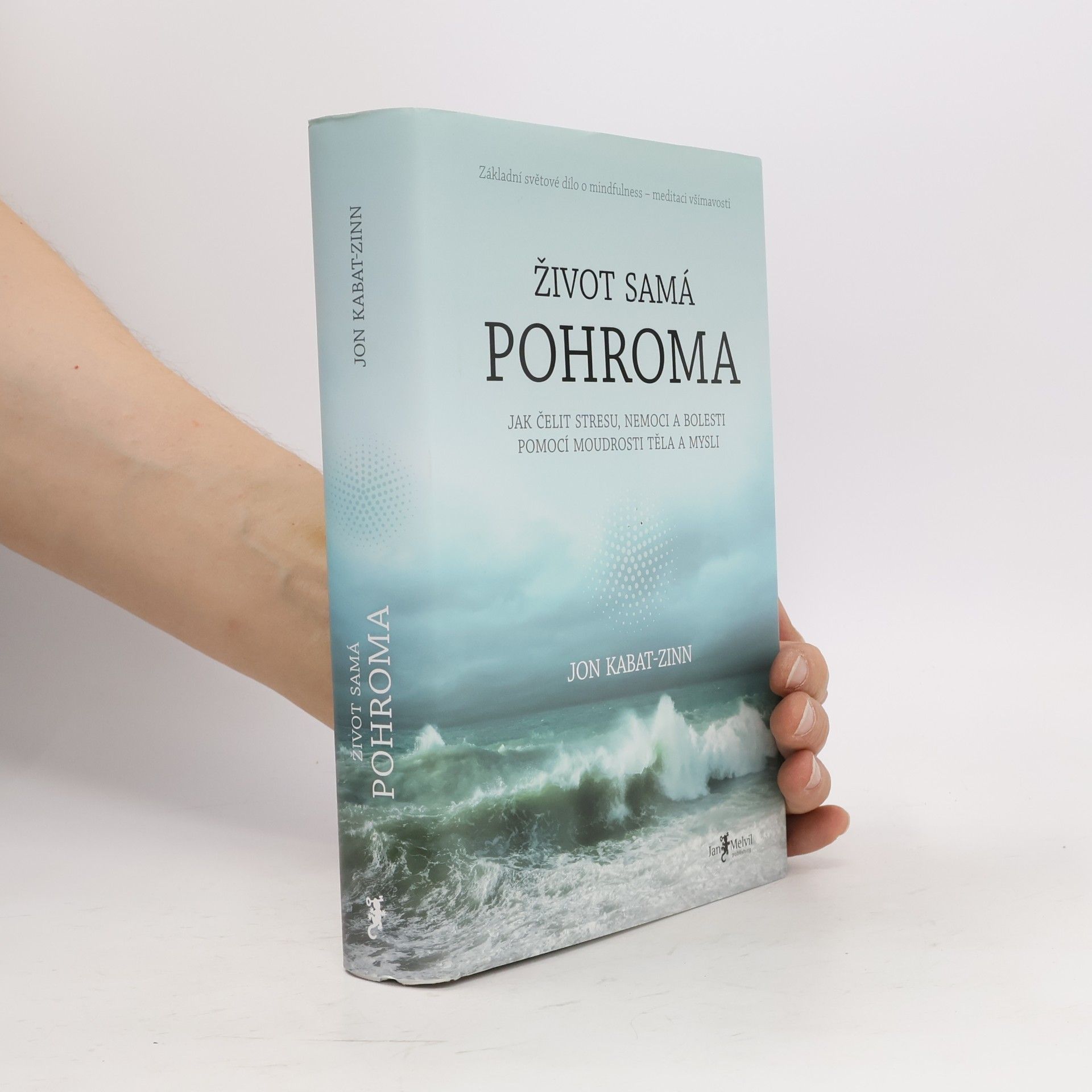 Jon Kabat-Zinn Život samá pohroma