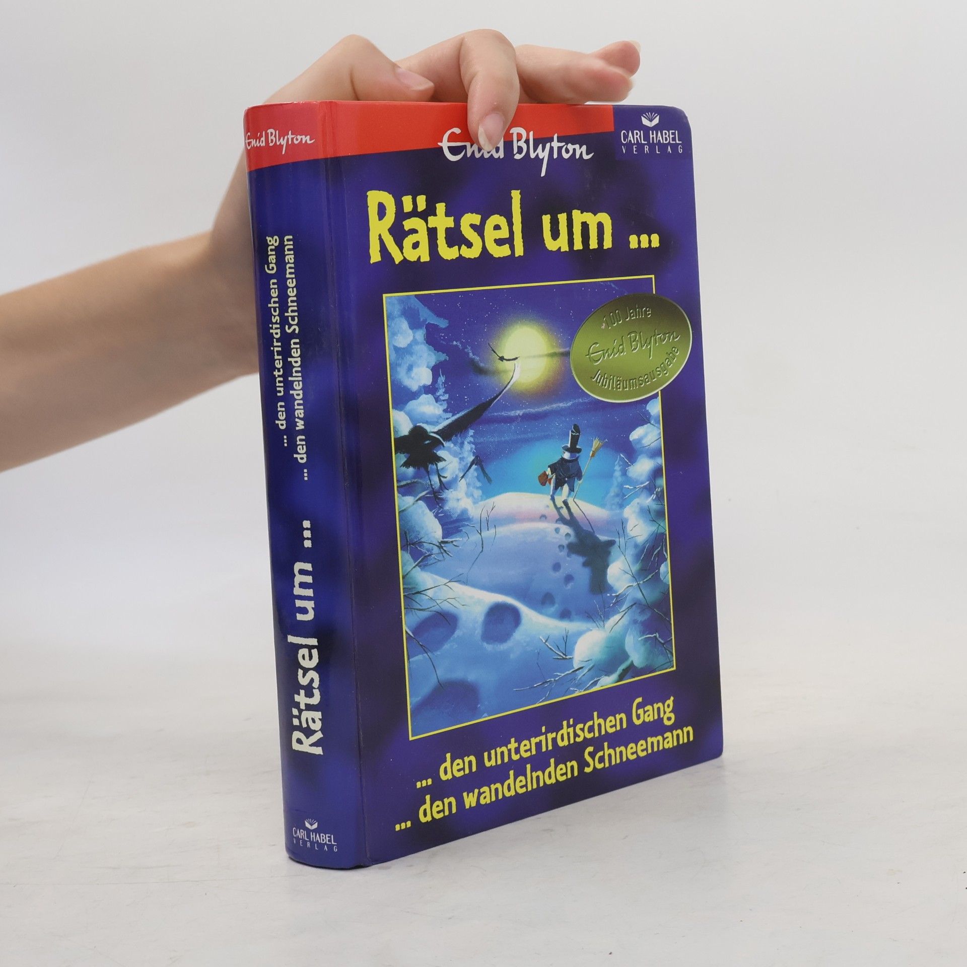 Enid Blyton Rätsel um den unterirdischen Gang