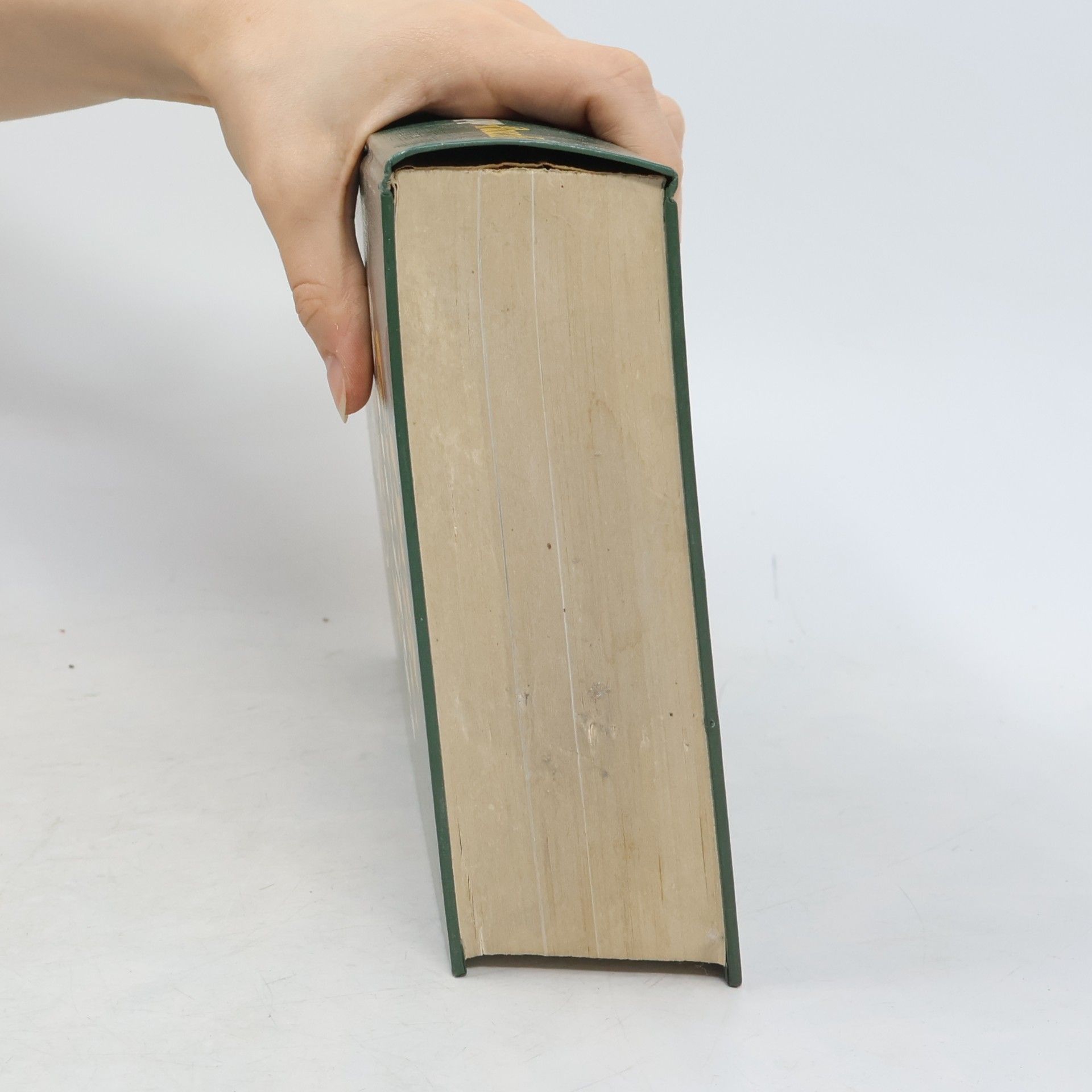 Josef H. Kaiser Das Grosse Kneipp Buch