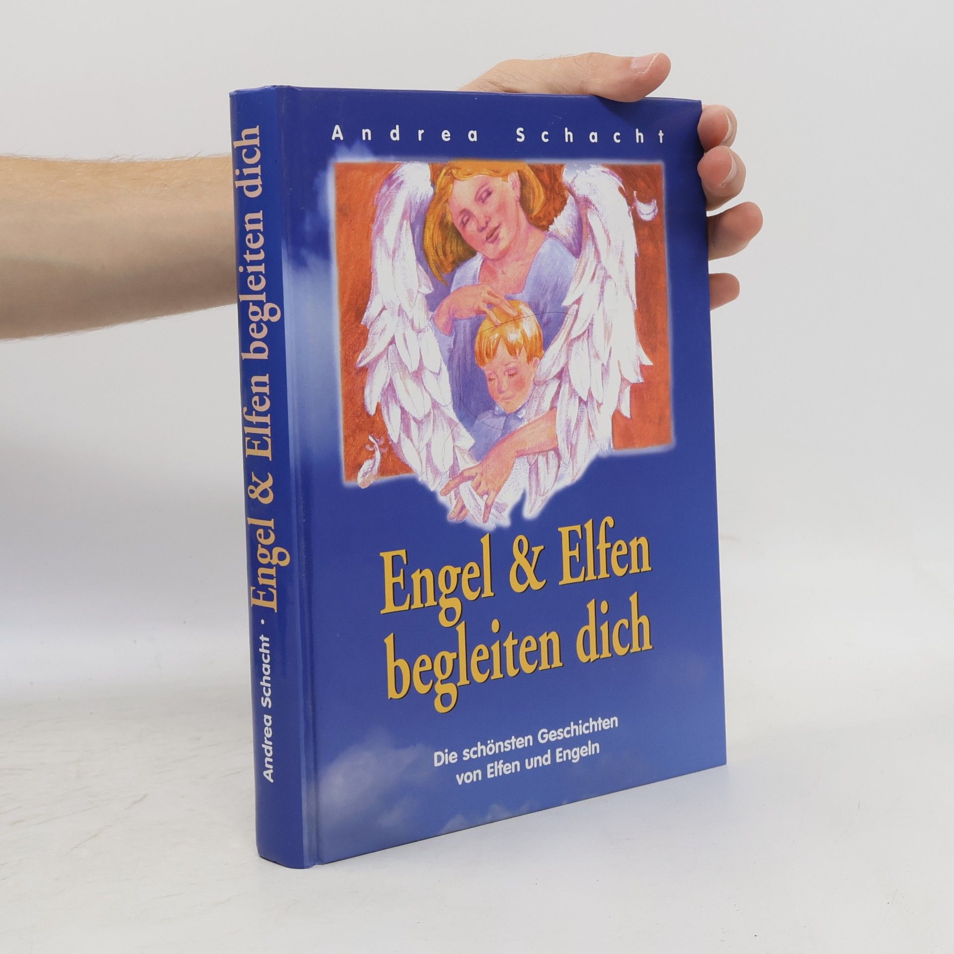 Andrea Schacht Engel & Elfen begleiten dich