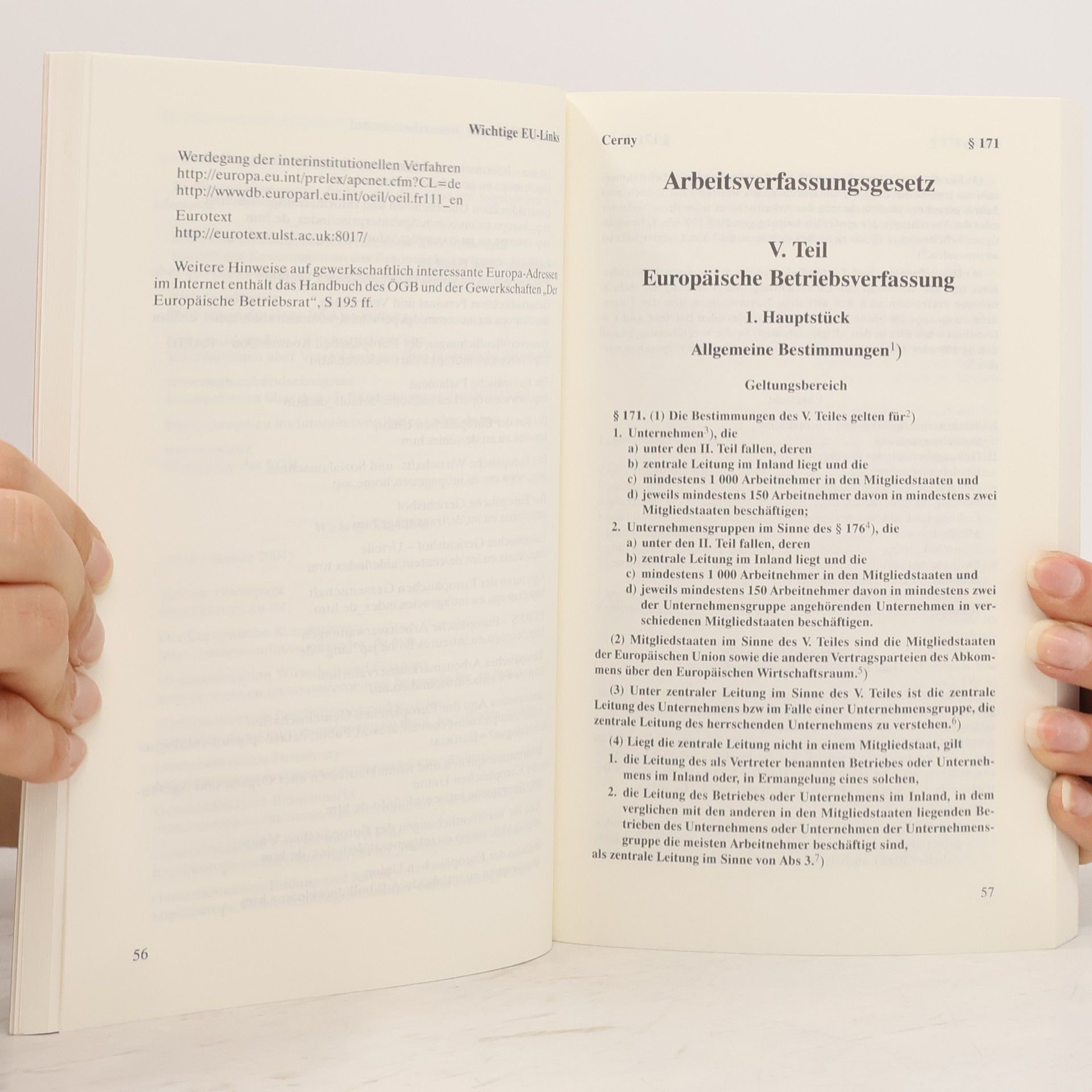 Josef Černý Arbeitsverfassungsrecht
