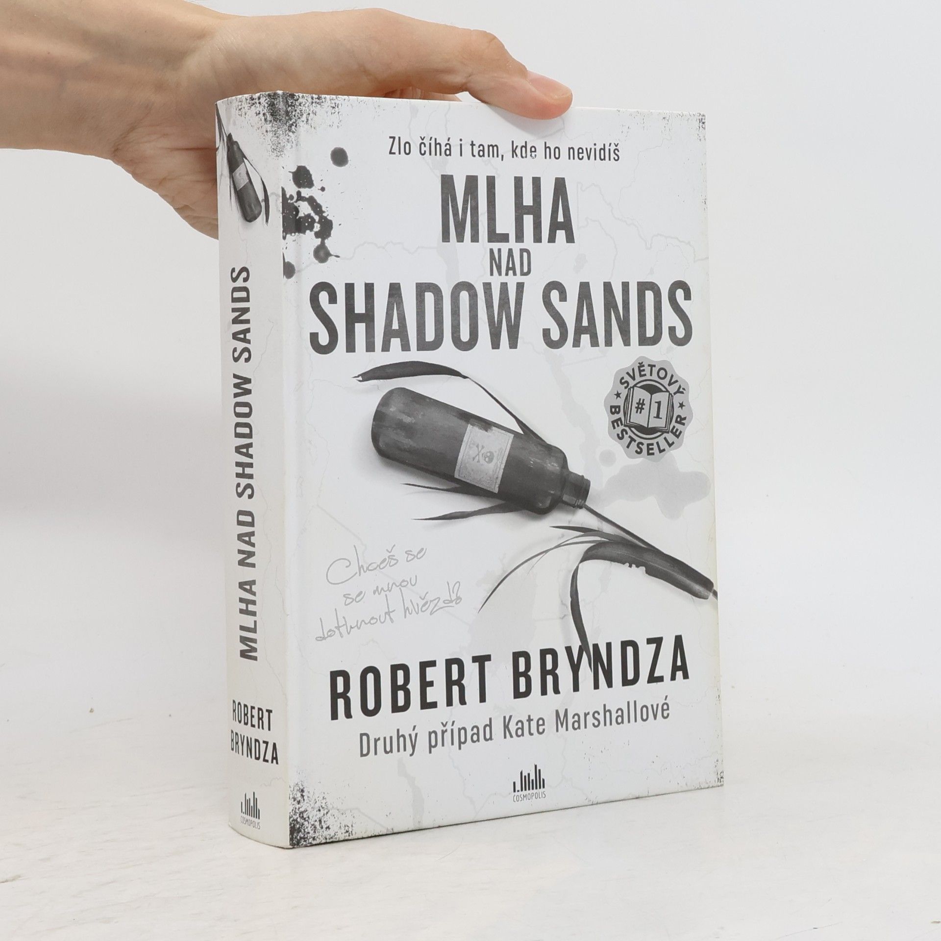 Robert Bryndza Mlha nad Shadow Sands
