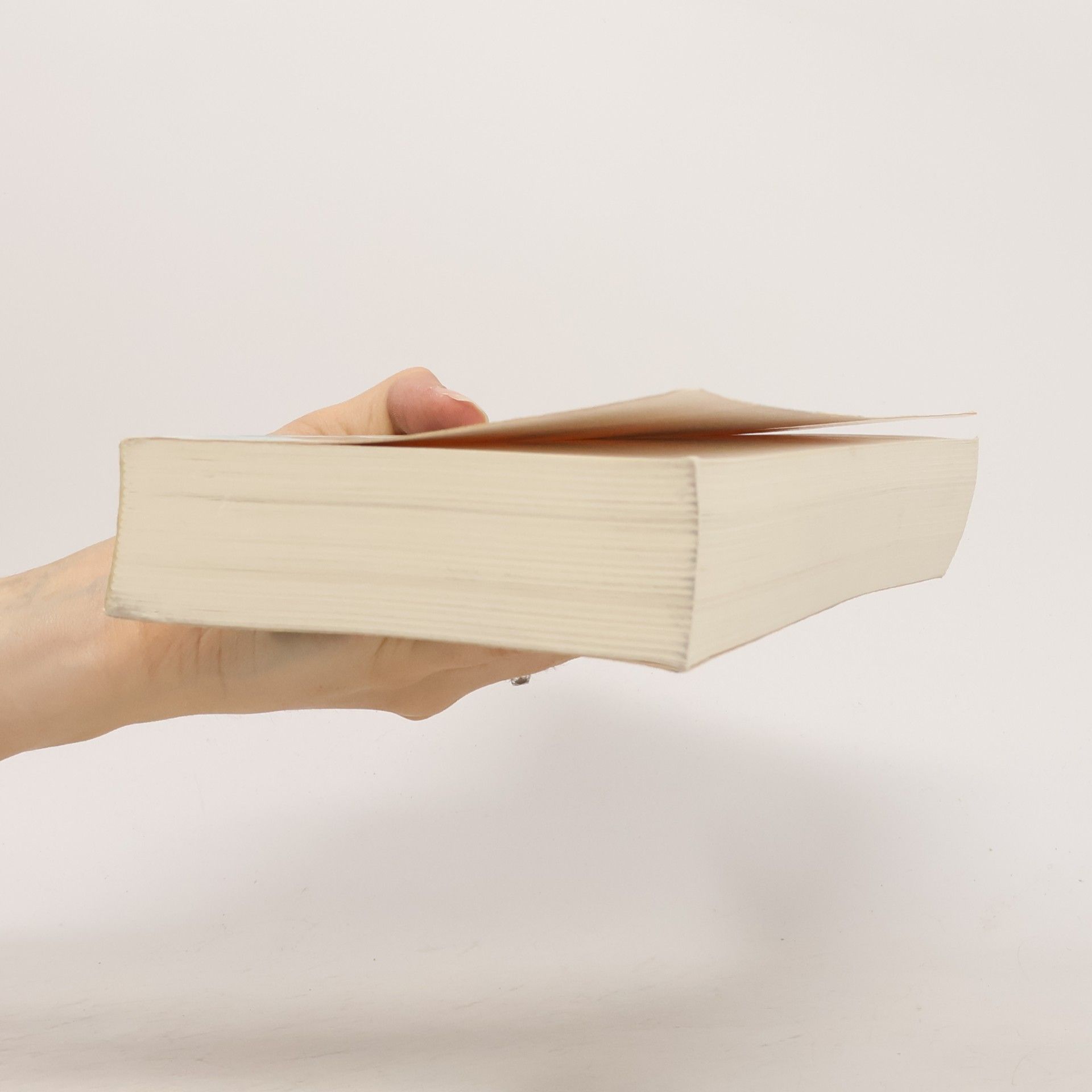 Josef Černý Arbeitsverfassungsrecht - 3. Auflage