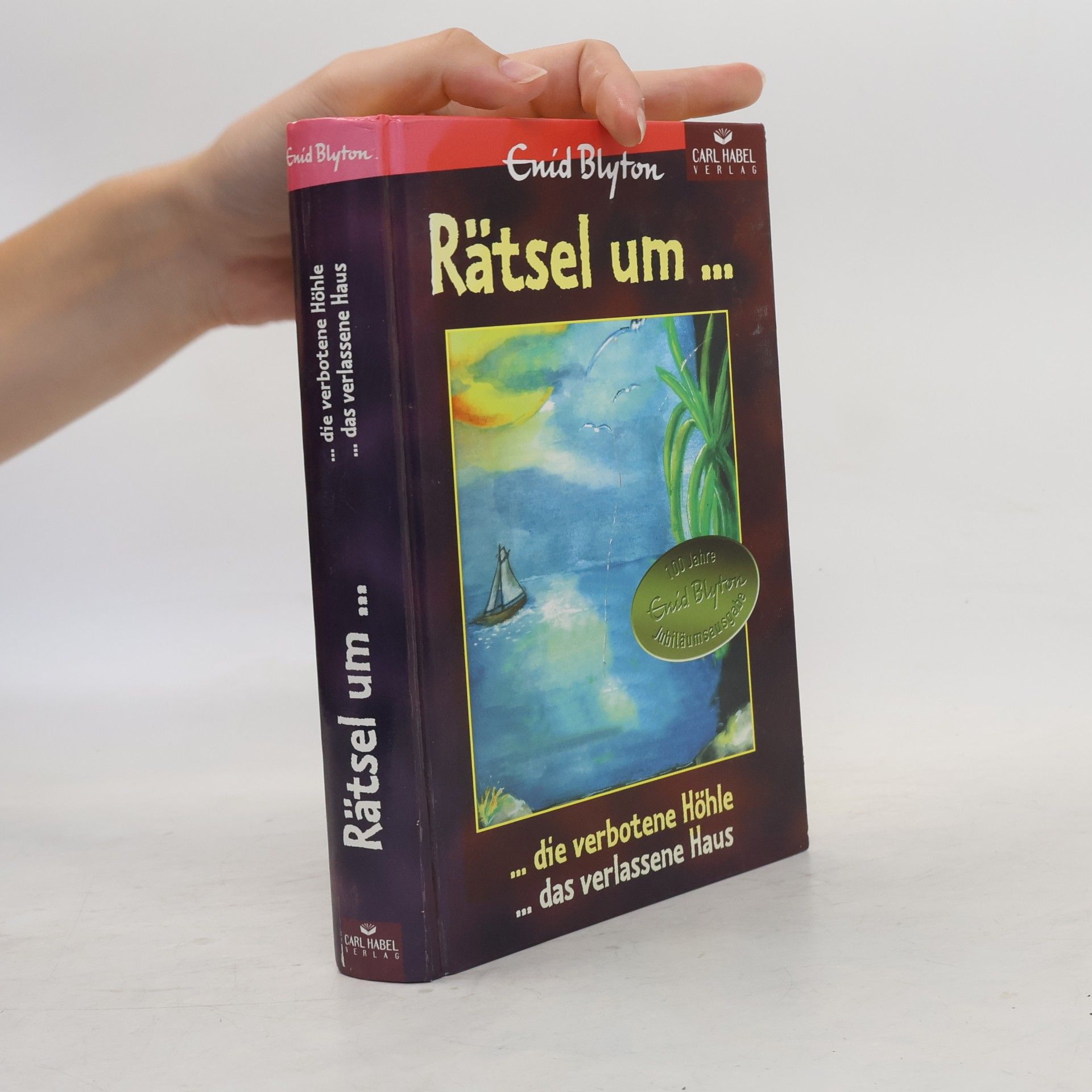 Enid Blyton Rätsel um die verbotene Höhle. Ein Doppelband.