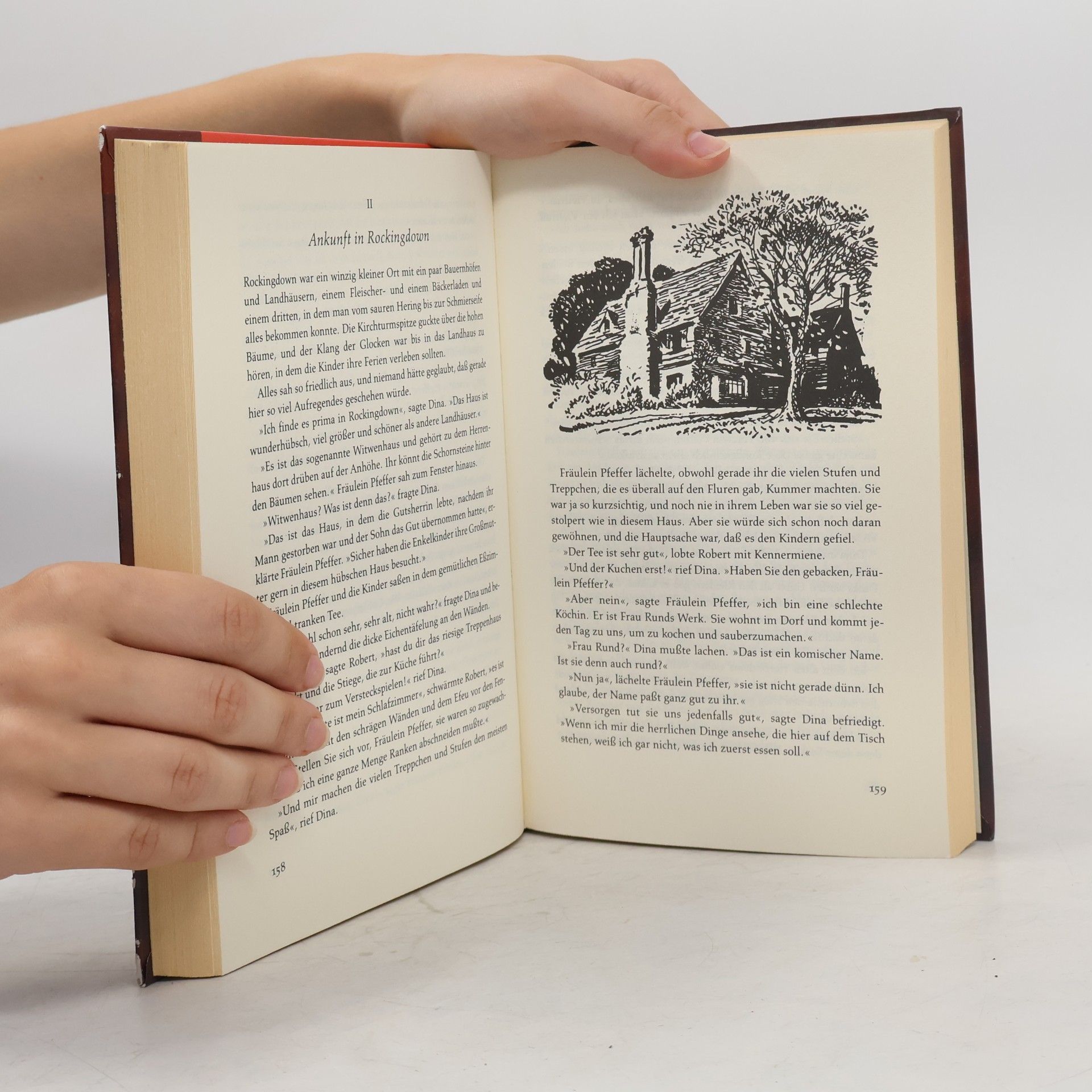 Enid Blyton Rätsel um die verbotene Höhle. Ein Doppelband.