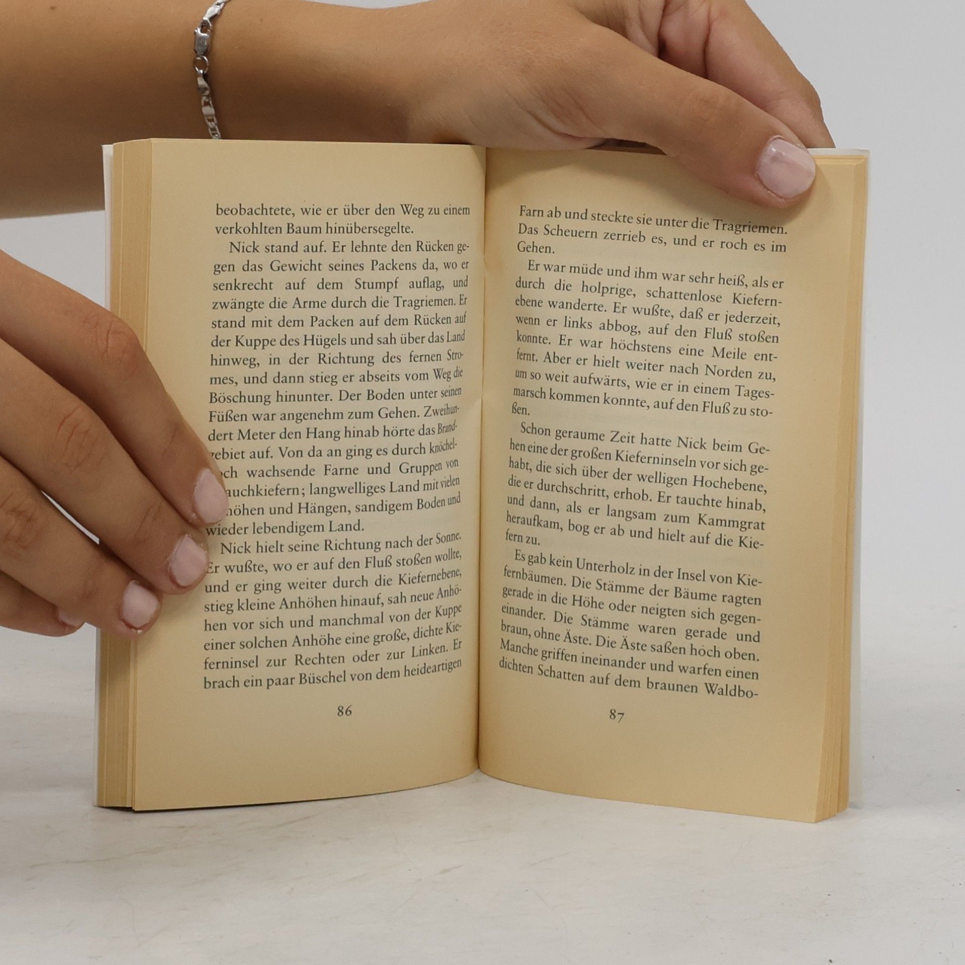Ernest Hemingway Indianerlager : Nick Adams stories