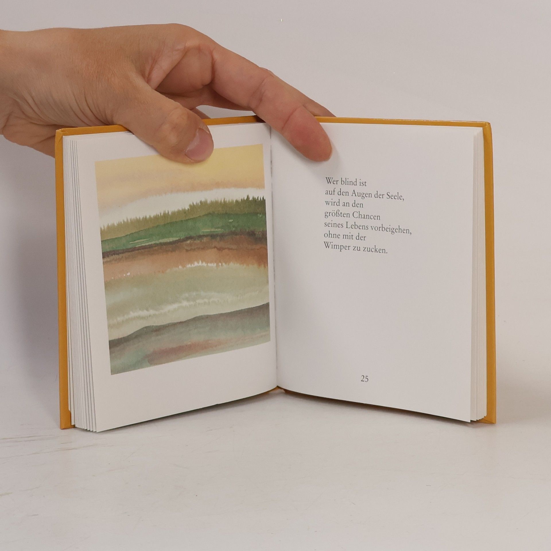 Hans Kruppa Das kleine Buch der Zuversicht