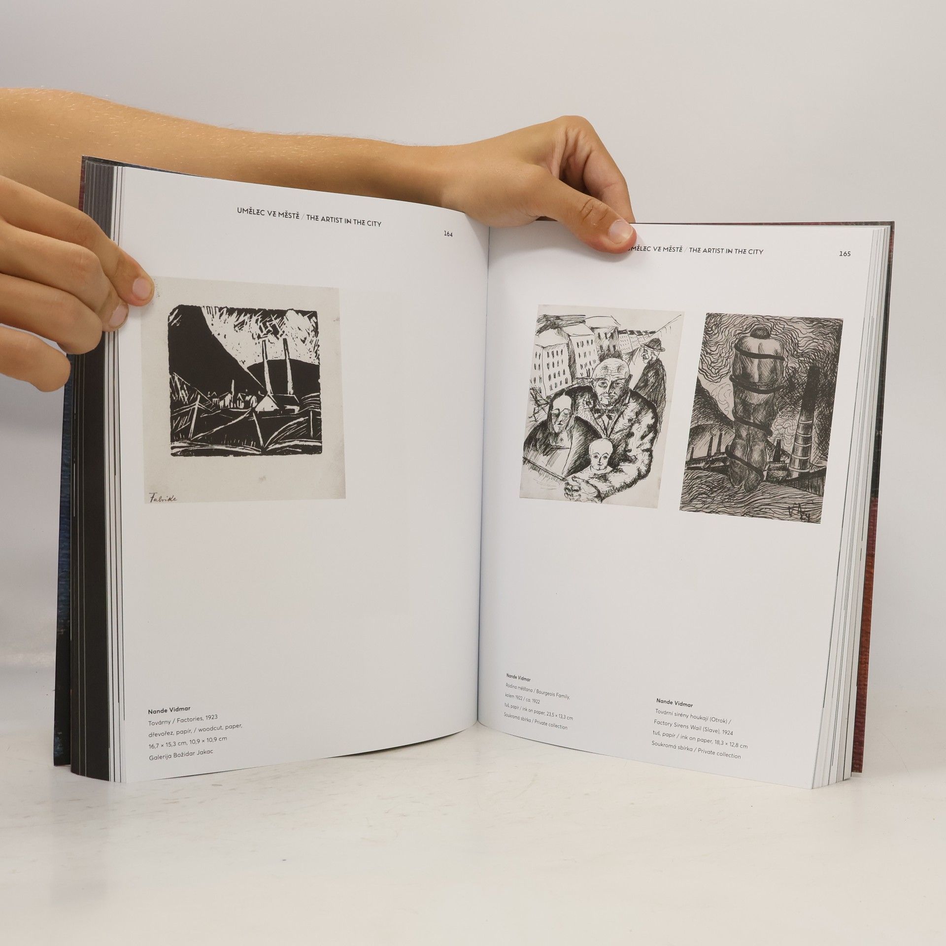 Autores varios Tváře expresionismu (1905-1925): Faces of Expressionism (1905-1925)