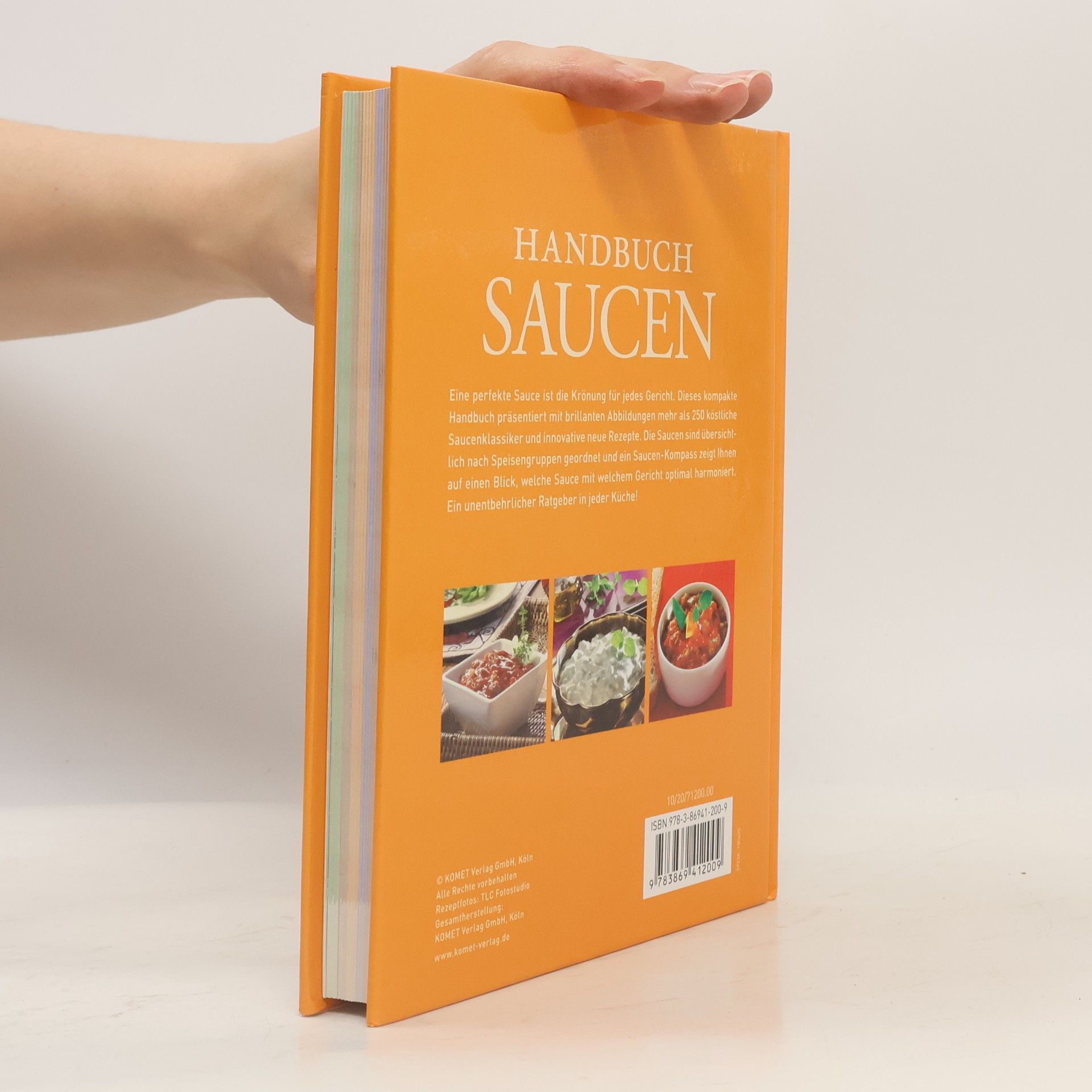Handbuch Saucen
