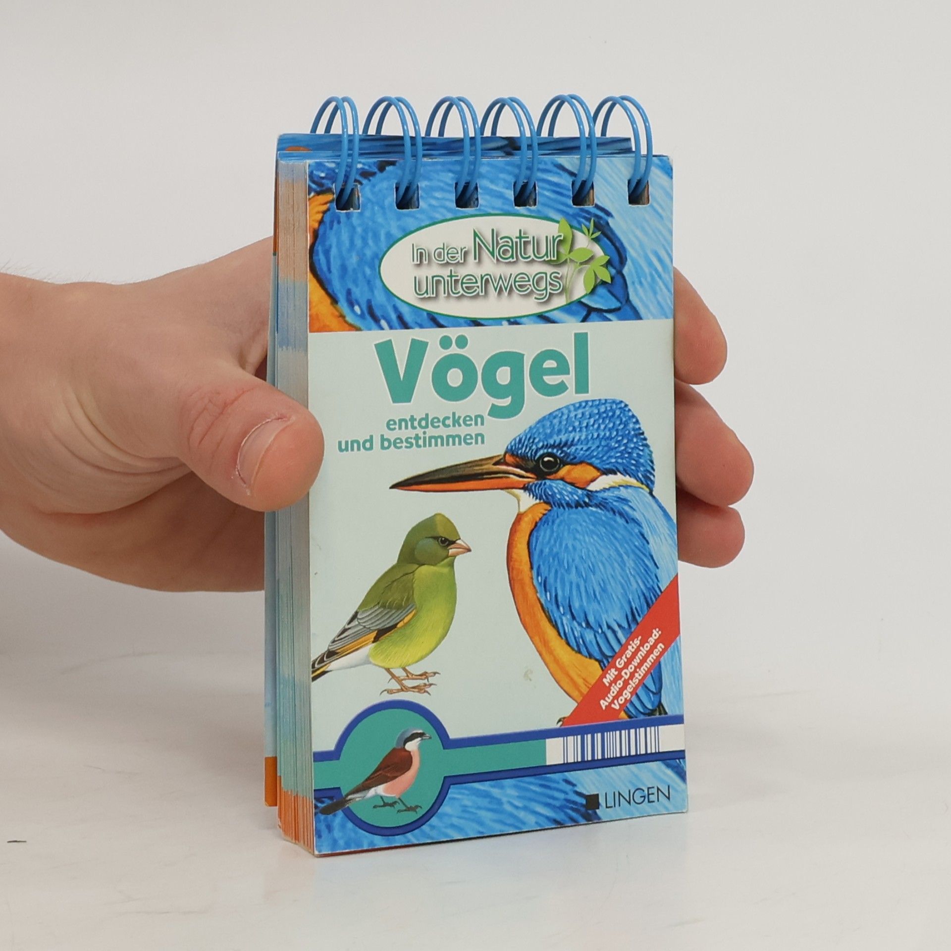 Autorenkollektiv Vögel entdecken und bestimmen
