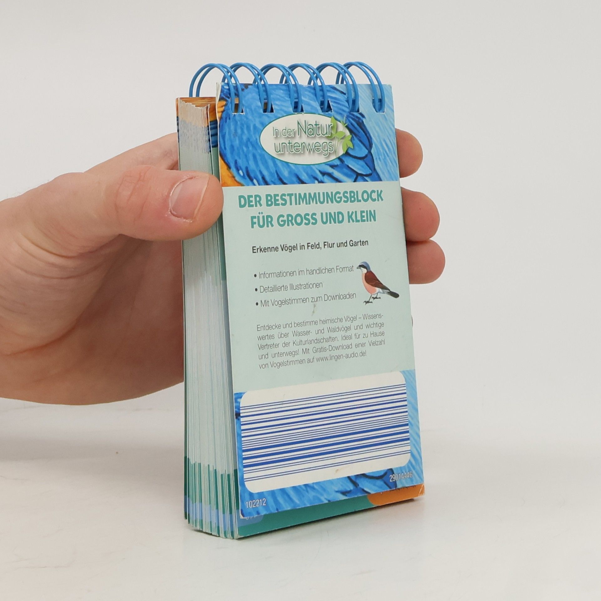 Autorenkollektiv Vögel entdecken und bestimmen