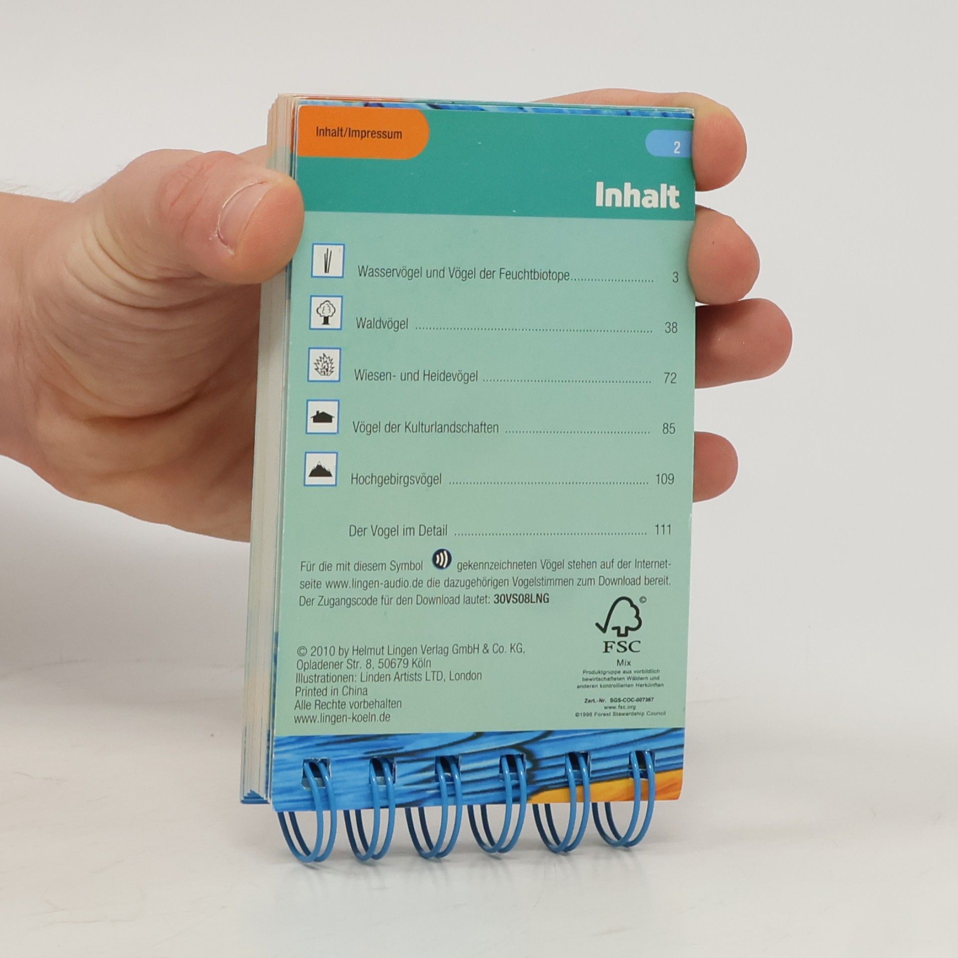 Autorenkollektiv Vögel entdecken und bestimmen