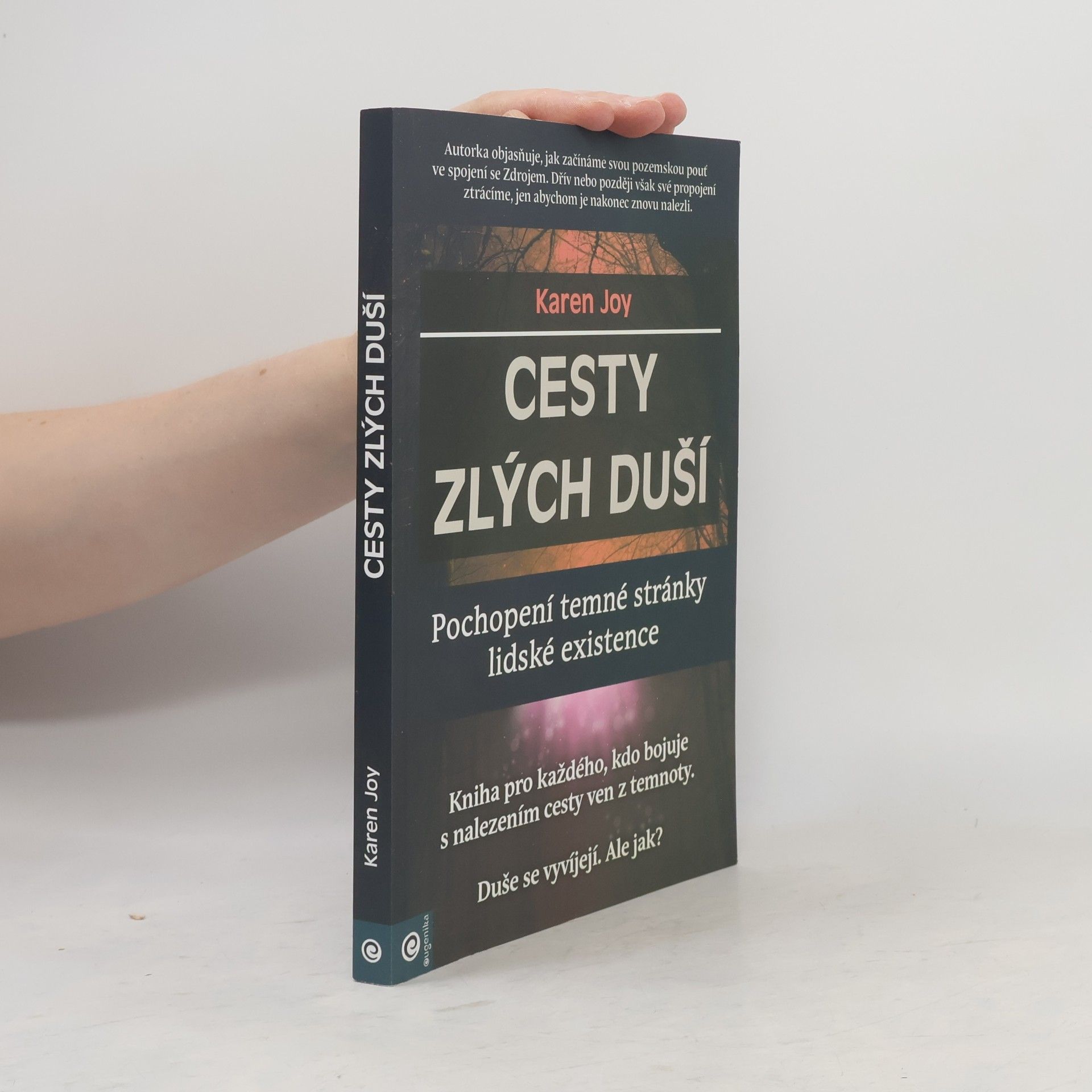 Karen Joy Fowler Cesty zlých duší