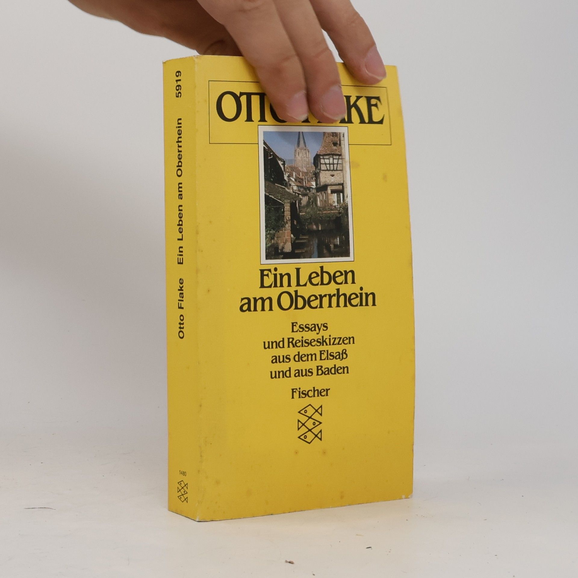 Otto Flake Ein Leben am Oberrhein