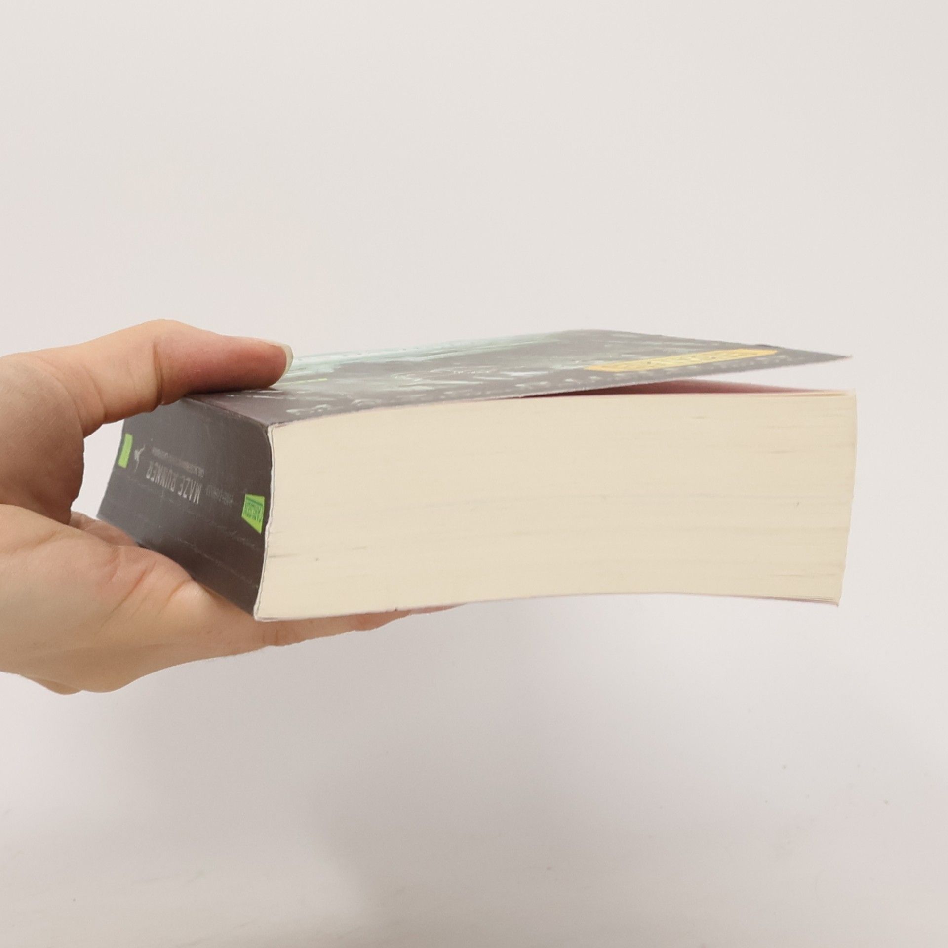 James Dashner Maze Runner, die Auserwählten im Labyrinth