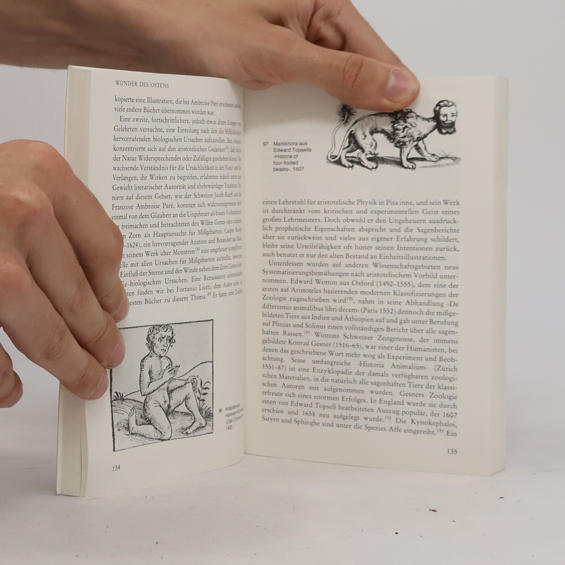 Rudolf Wittkower Allegorie und der Wandel der Symbole in Antike und Renaissance