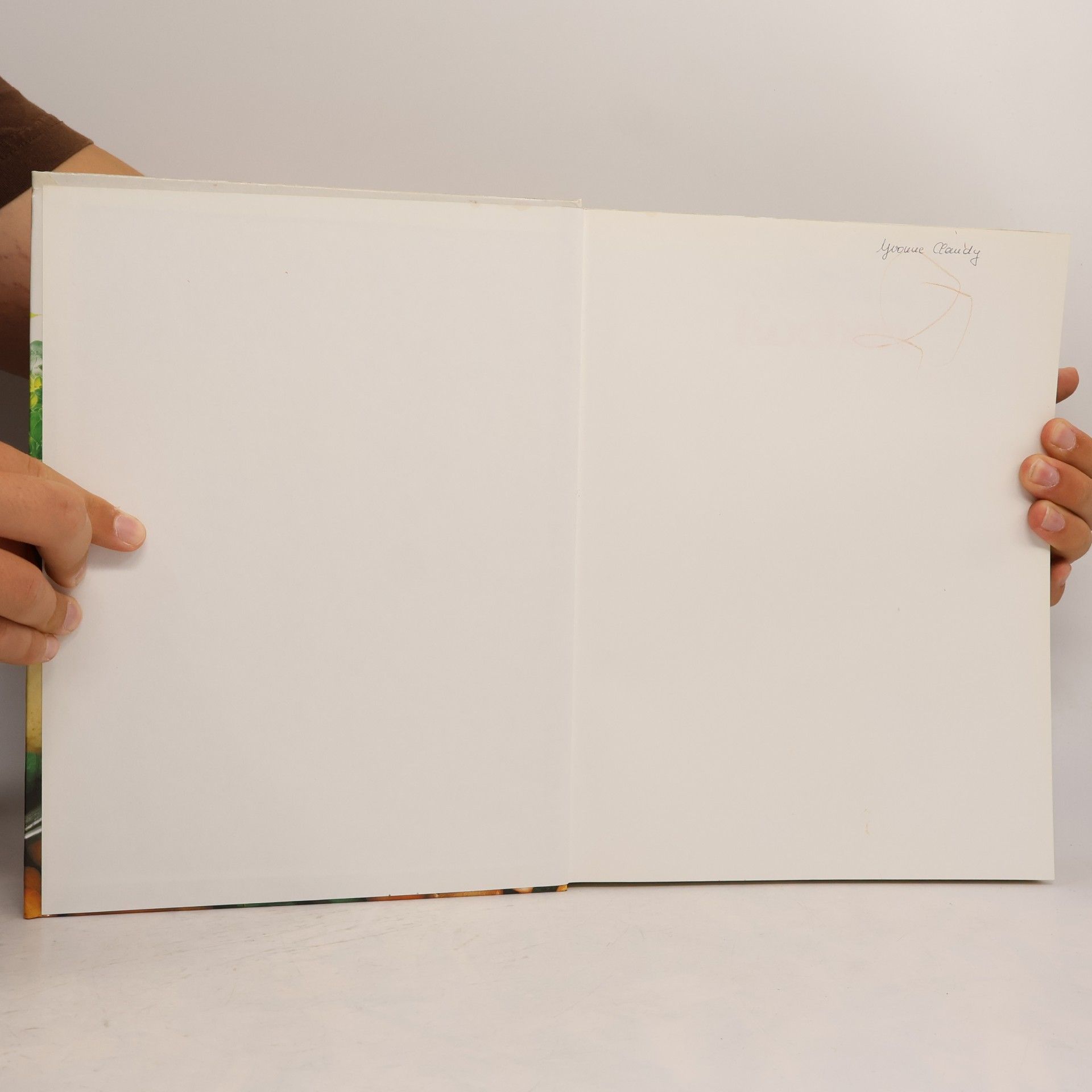 Das grosse Buch vom Kochen