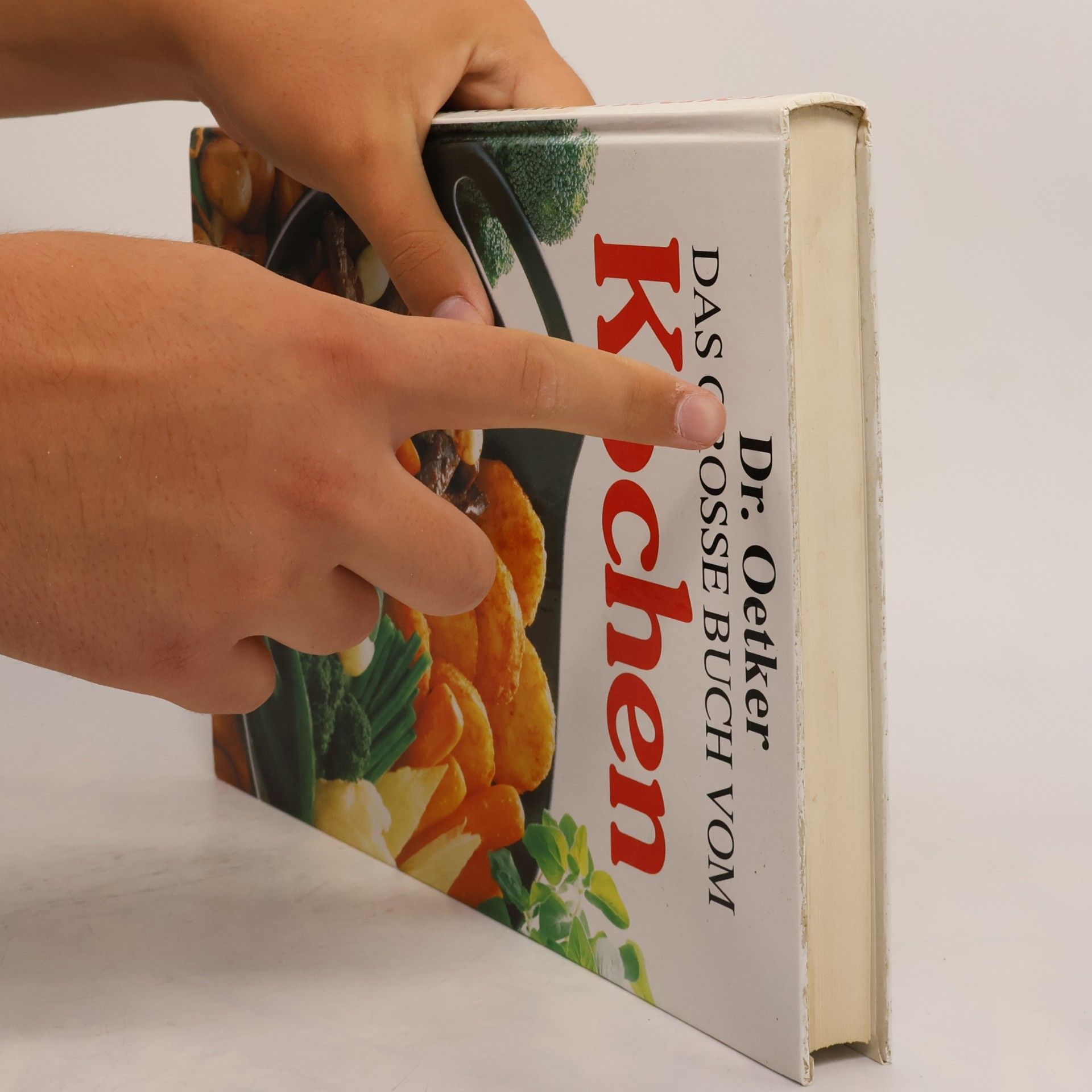 Das grosse Buch vom Kochen