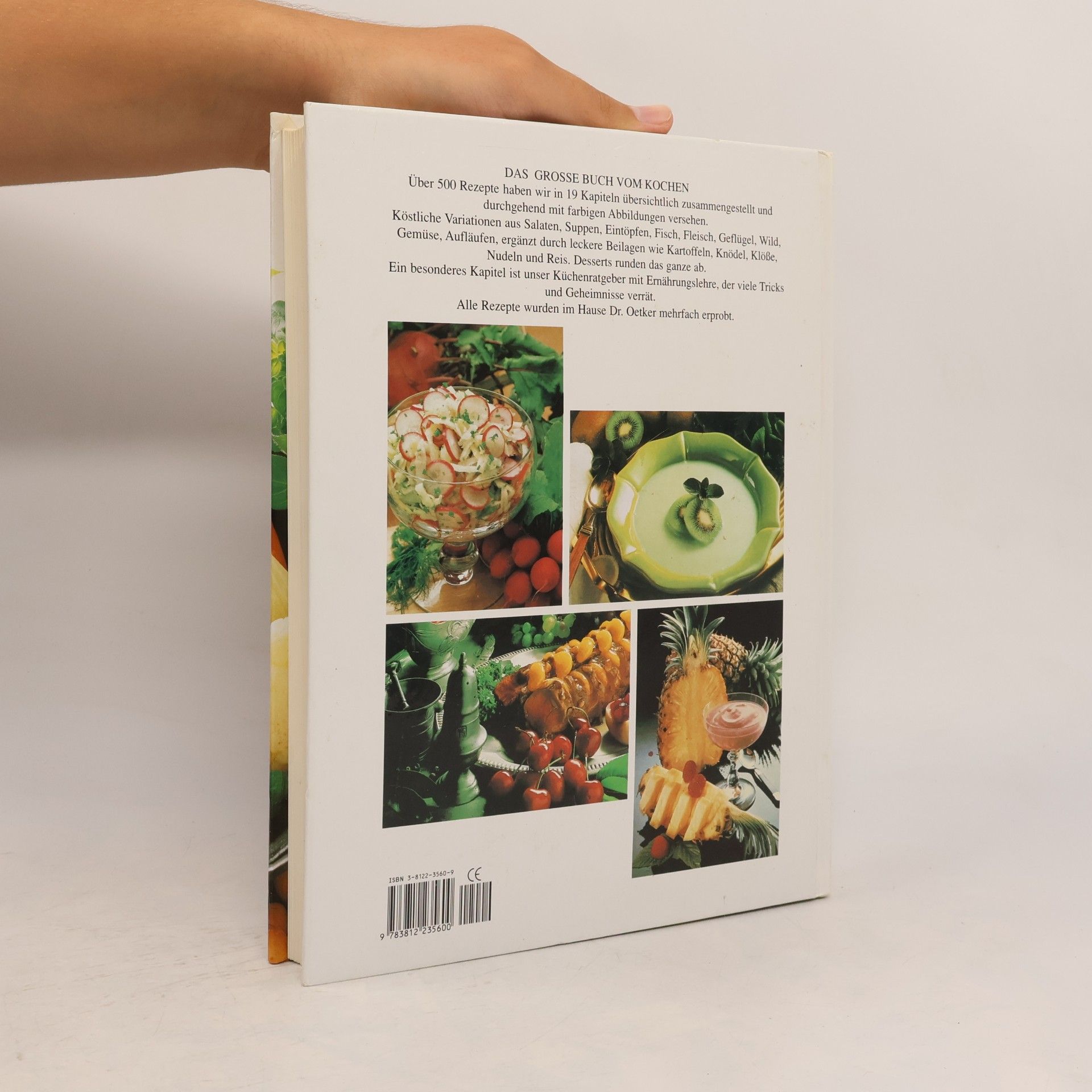 Das grosse Buch vom Kochen