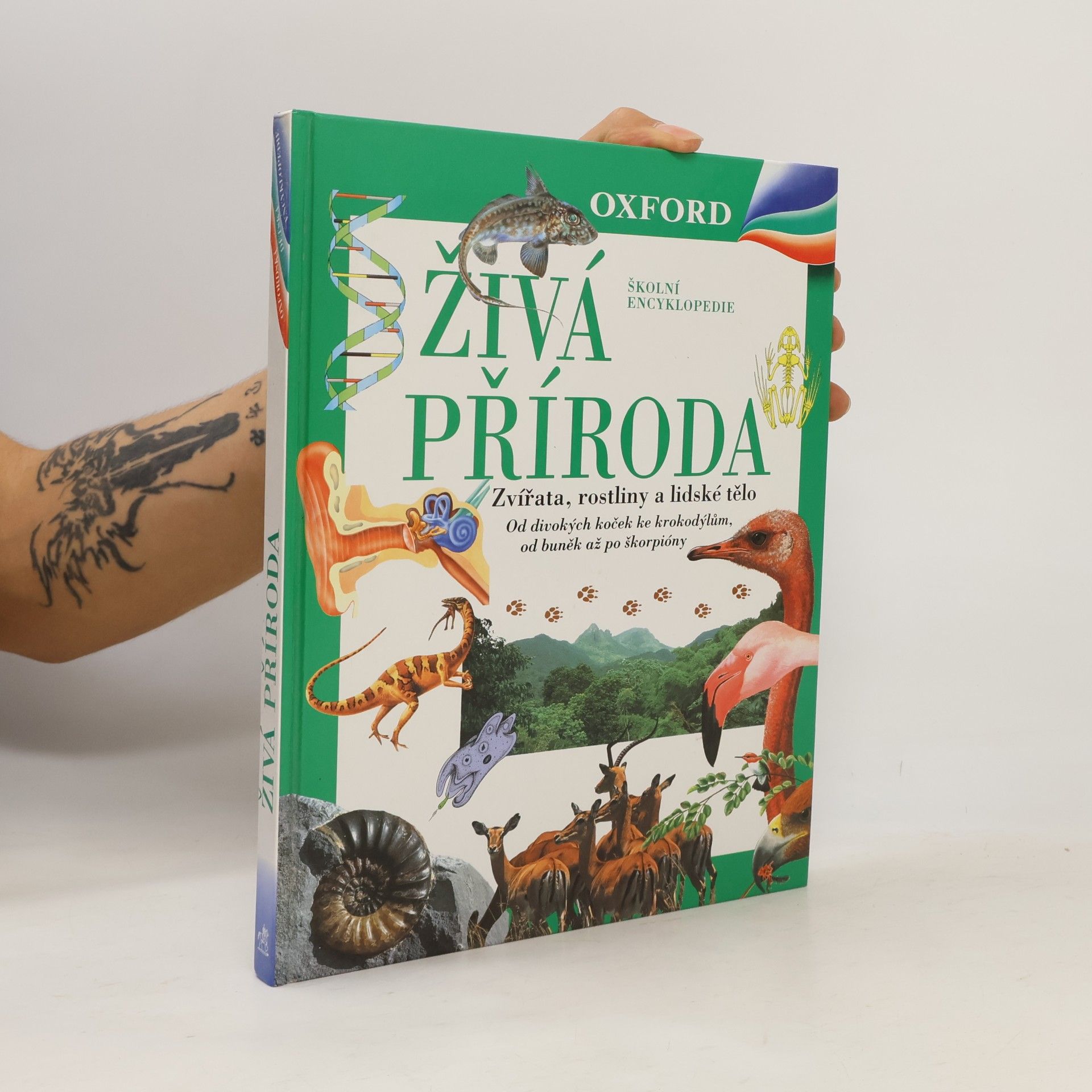 Markéta Hadačová Živá příroda