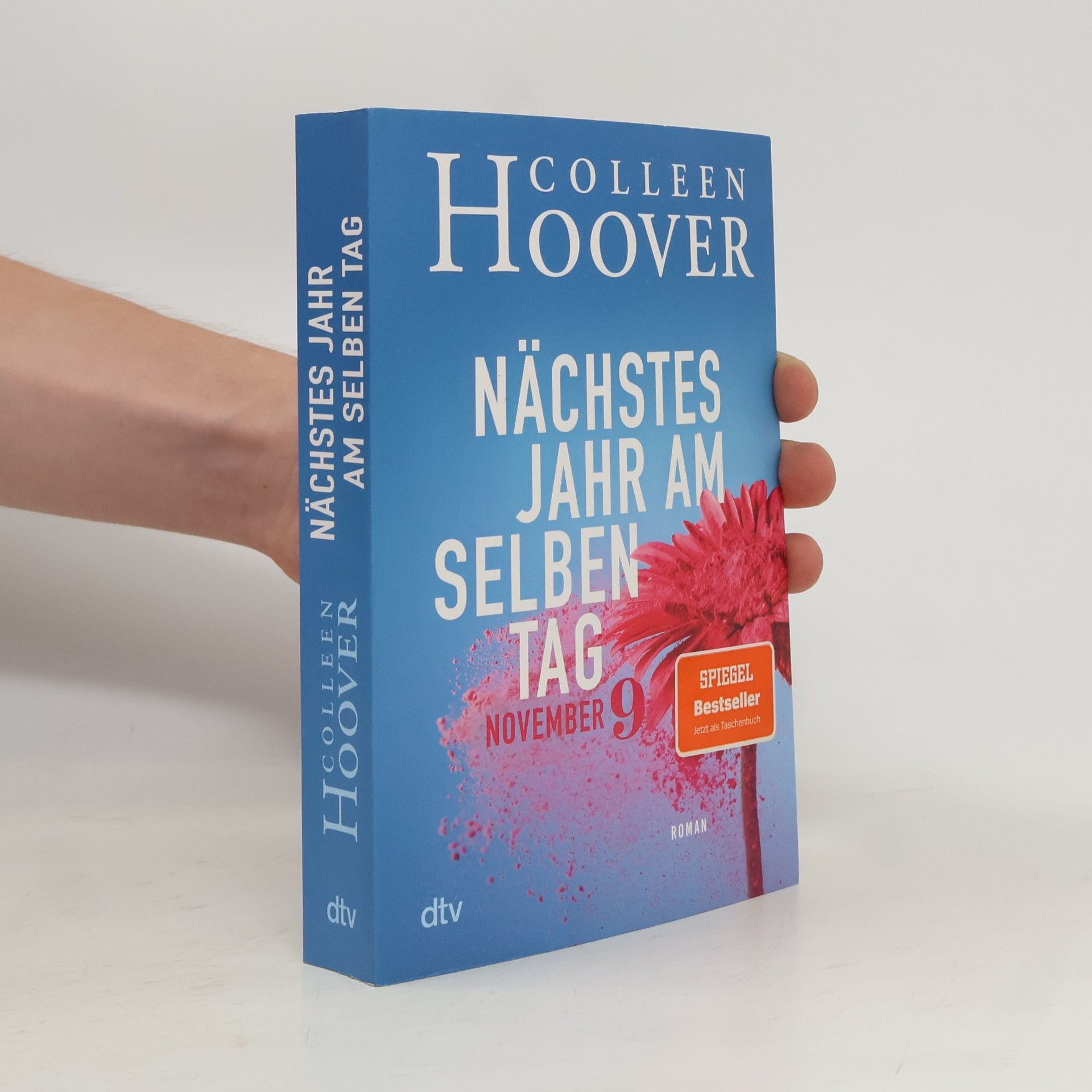 Colleen Hoover Nächstes Jahr am selben Tag