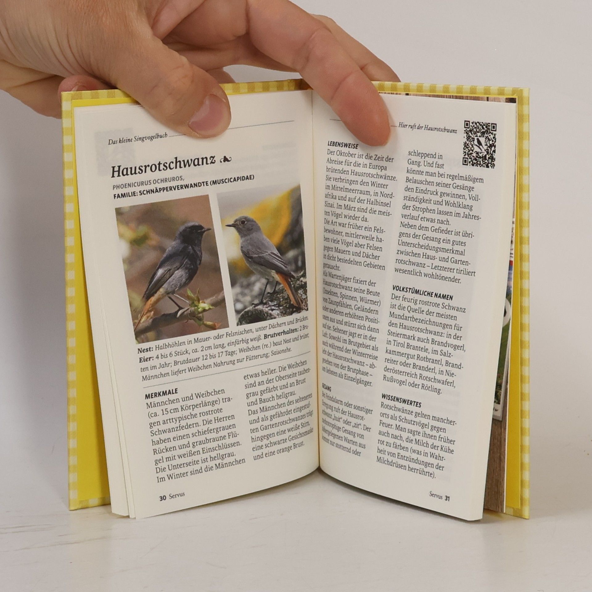 Klaus Kamolz Das kleine Singvogelbuch
