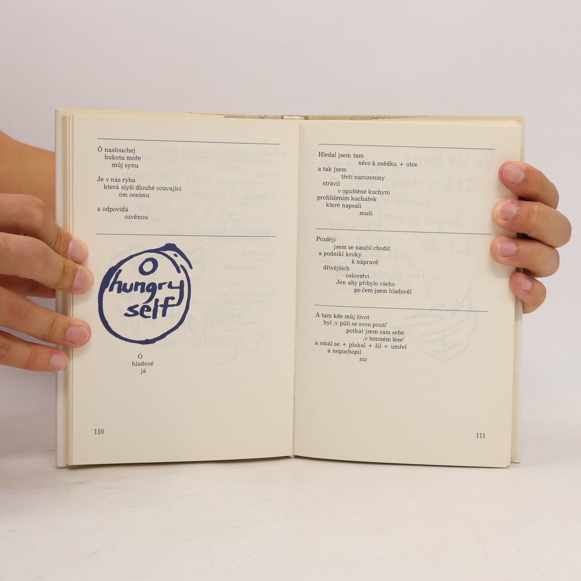 Lawrence Ferlinghetti Čtu báseň která nekončí