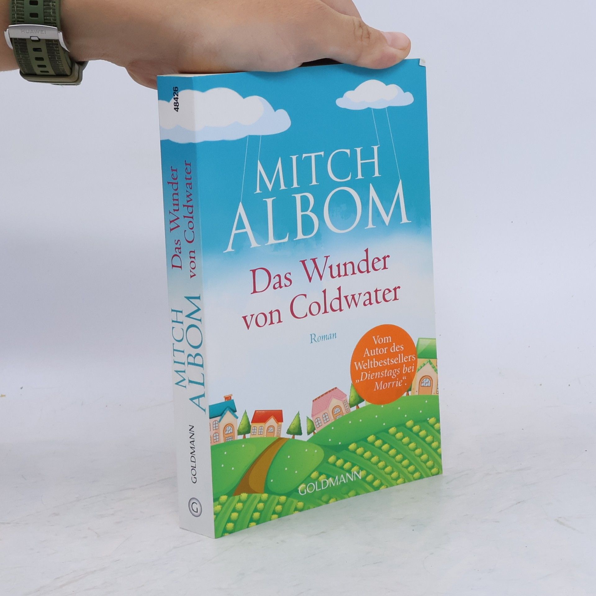 Mitch Albom Das Wunder von Coldwater