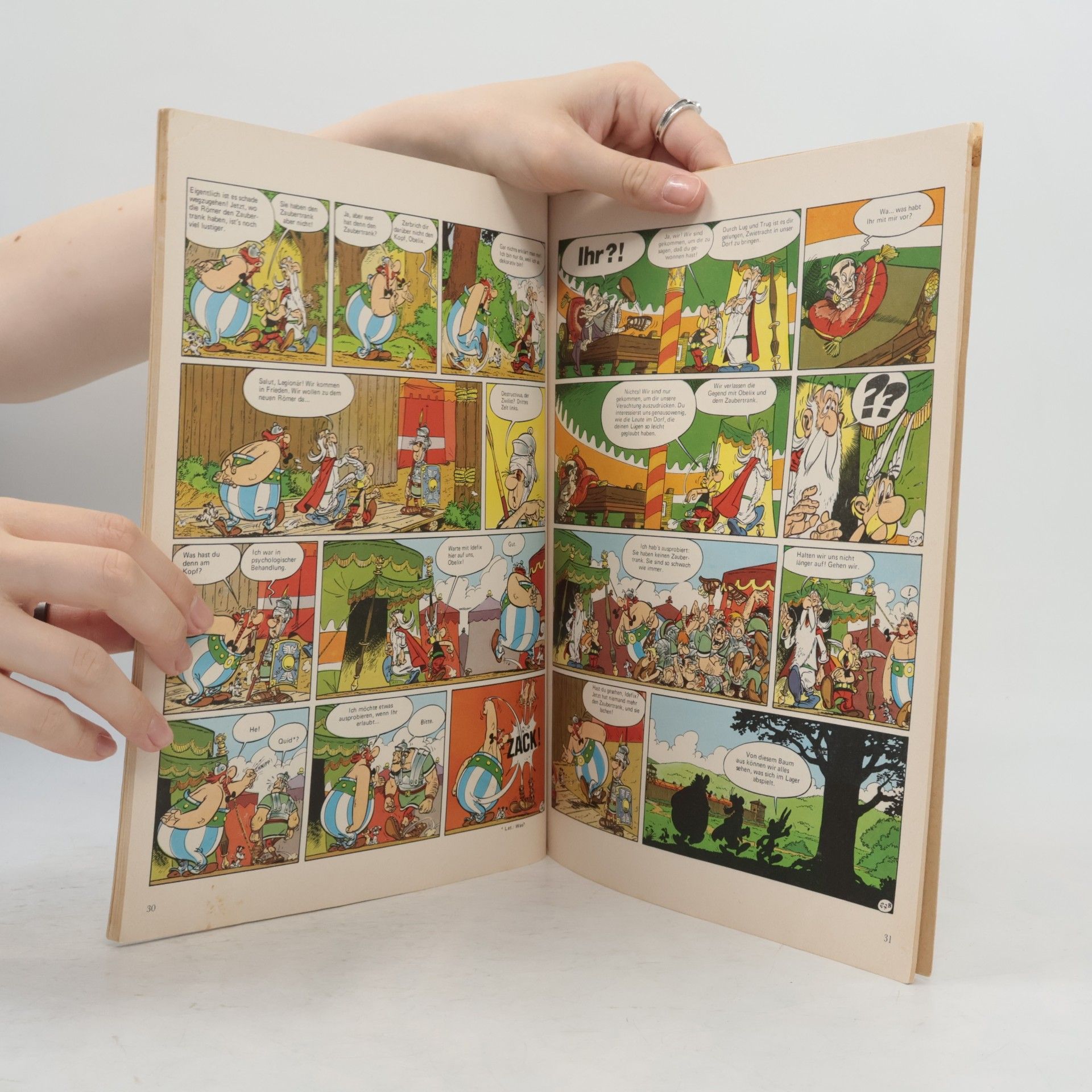 Collectif d'auteurs Streit um Asterix