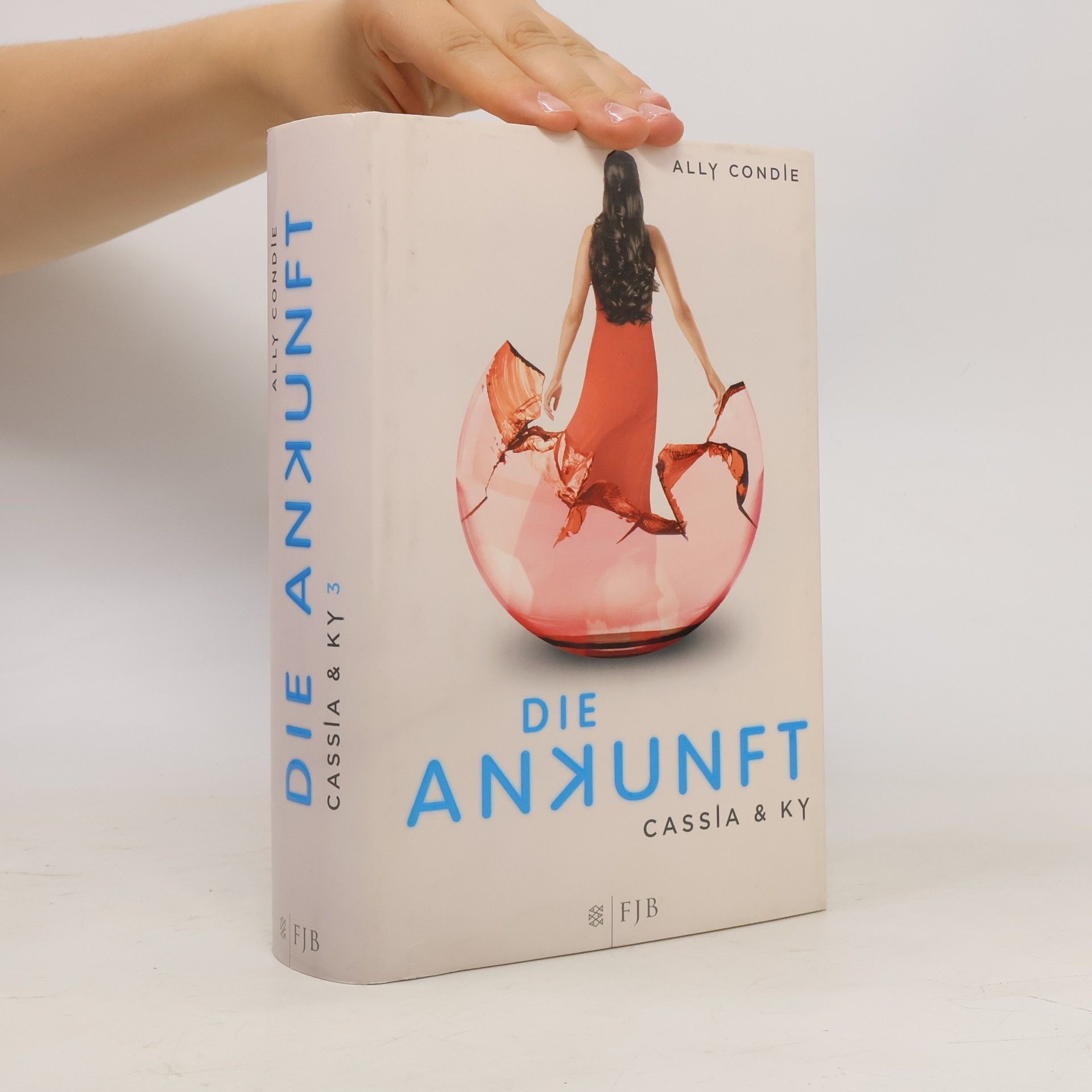 Die Ankunft