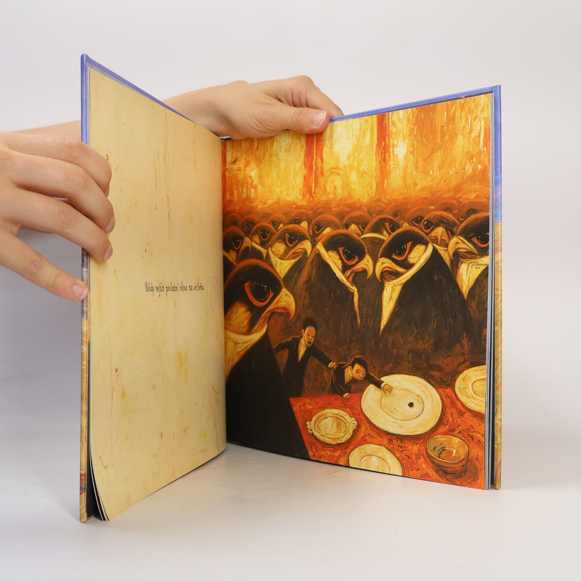 Shaun Tan Pravidla léta