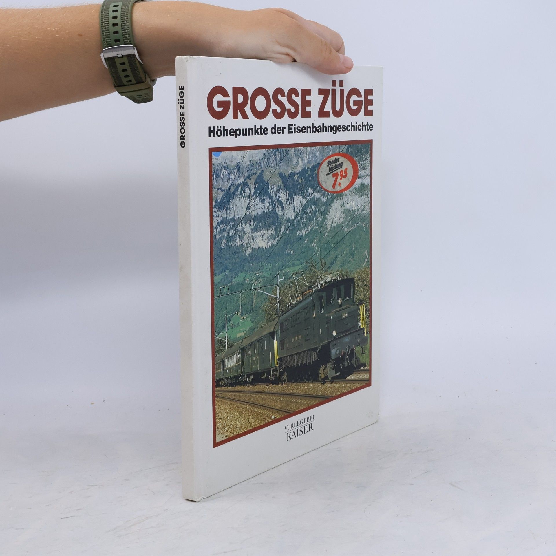 Rolf L. Temming Grosse Züge
