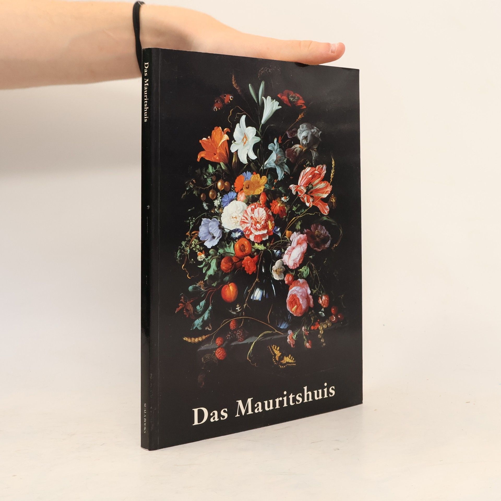 Ben Broos Das Mauritshuis