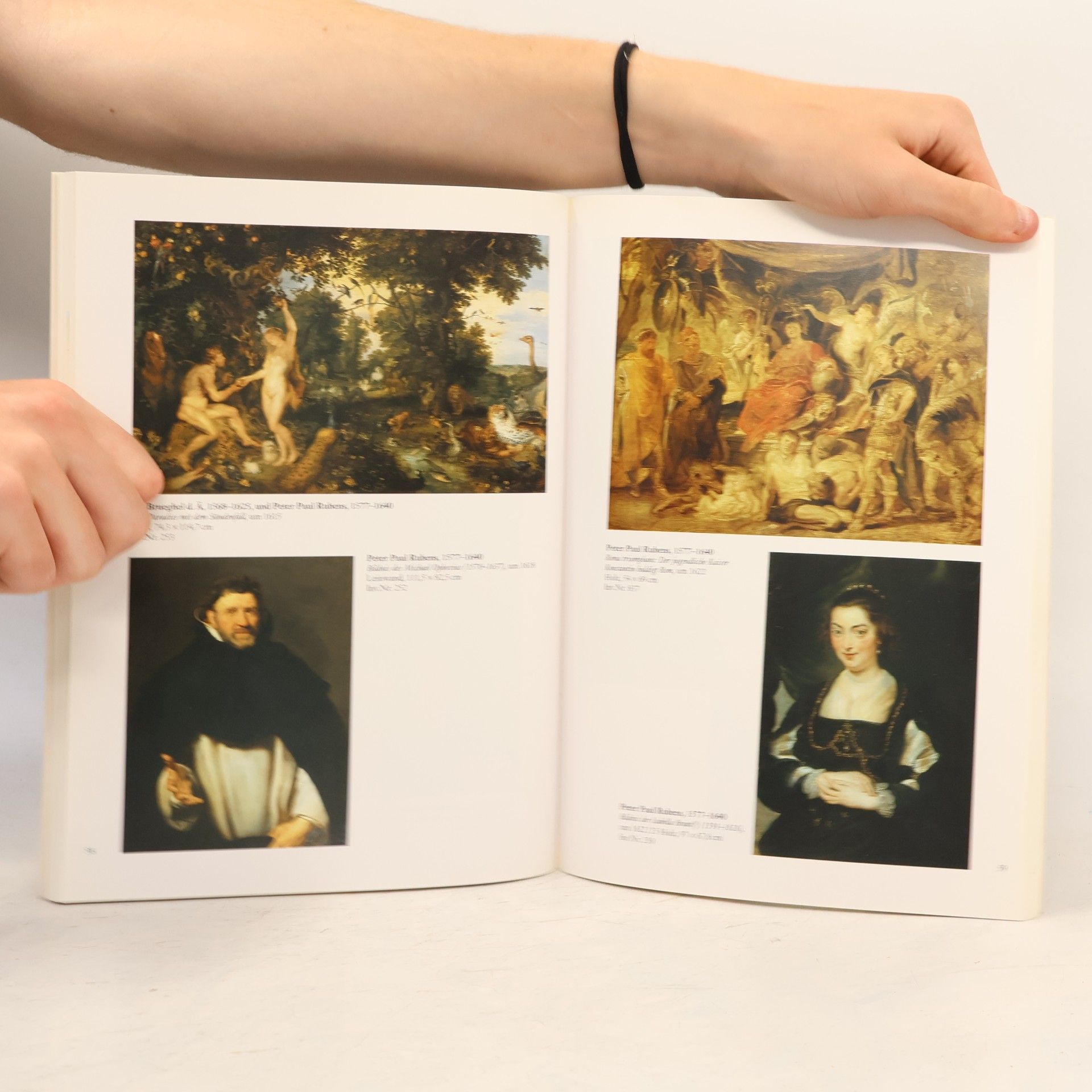 Ben Broos Das Mauritshuis