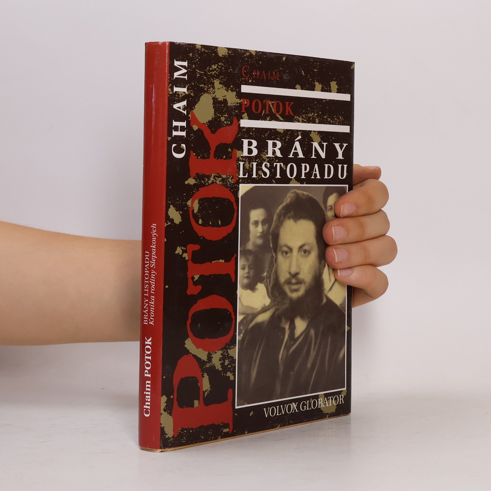 Chaim Potok Brány listopadu