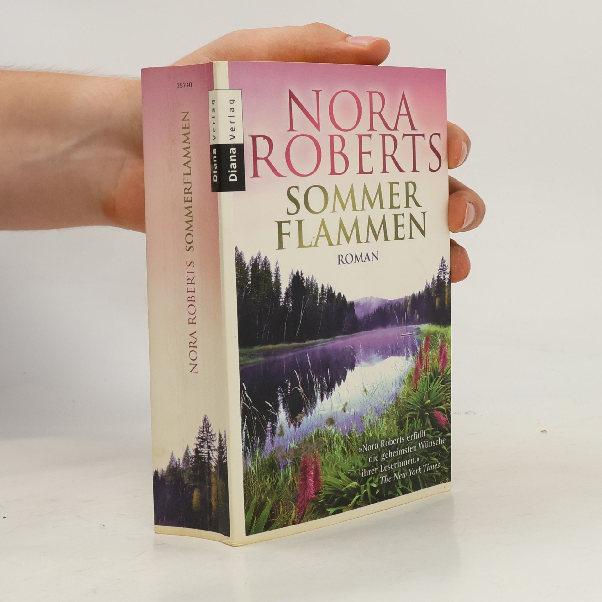 Nora Roberts Sommer Flammen