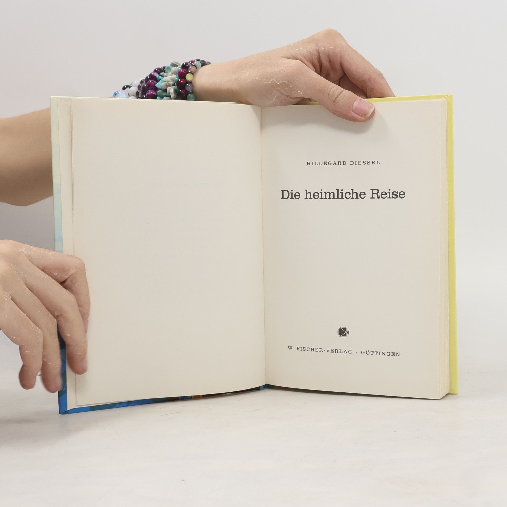 Hildegard Diessel Die heimliche Reise