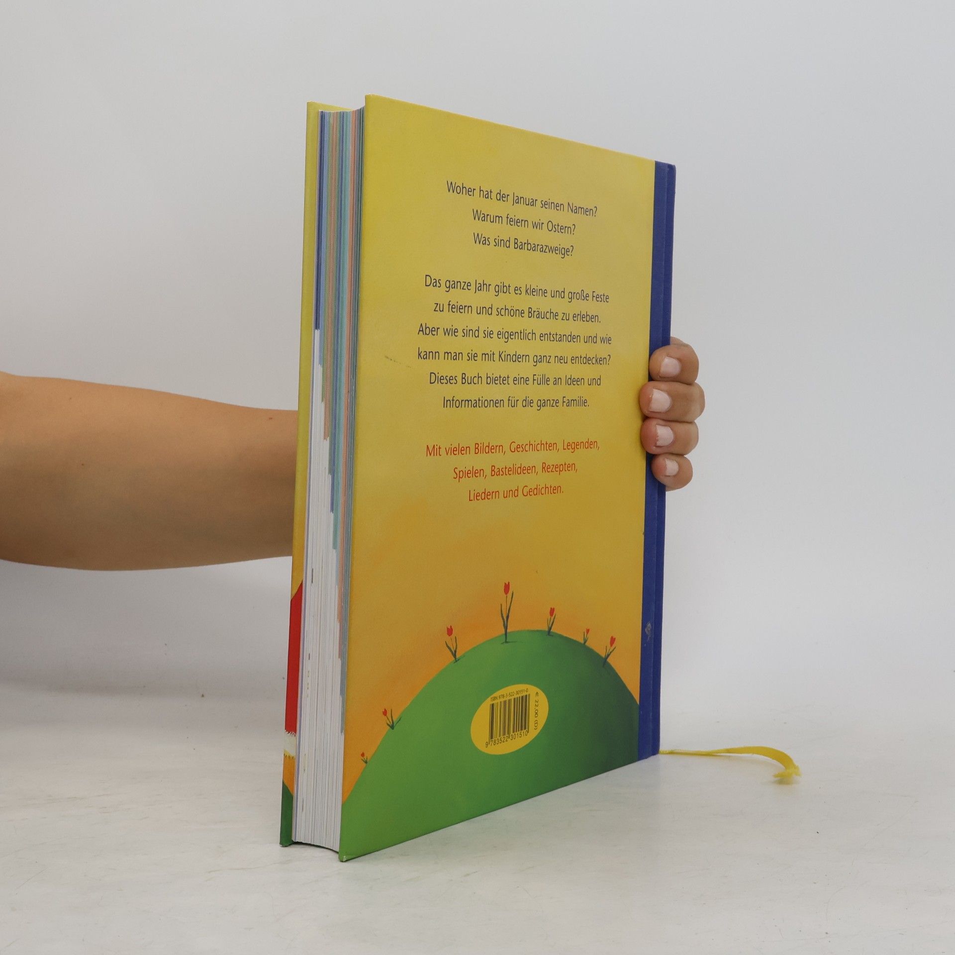 Jule Sommersberg Das große Buch fürs ganze Jahr