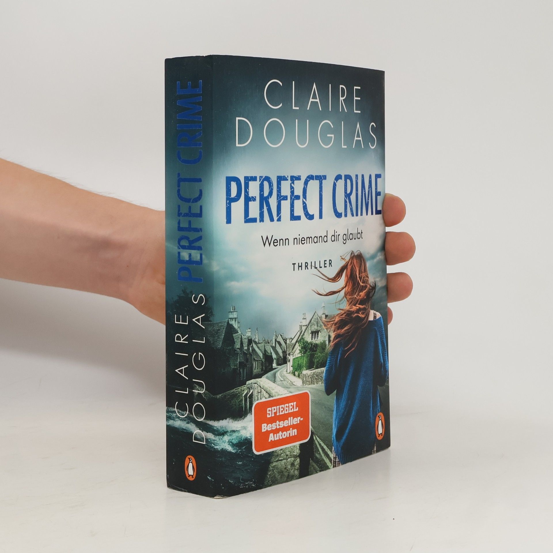 Claire Douglas Perfect Crime