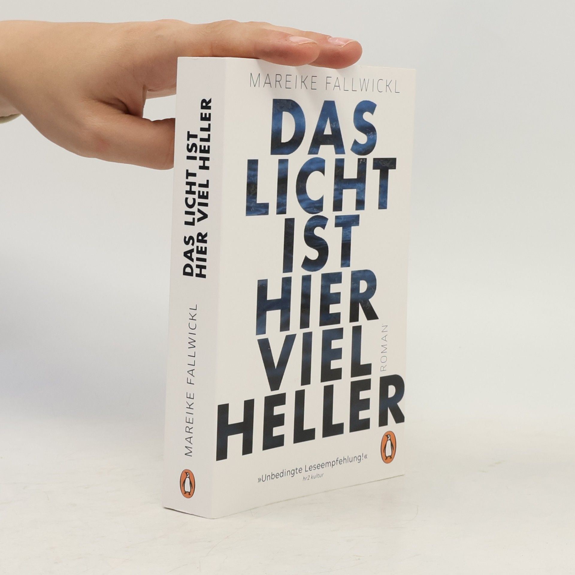 Mareike Fallwickl Das licht ist hier viel heller