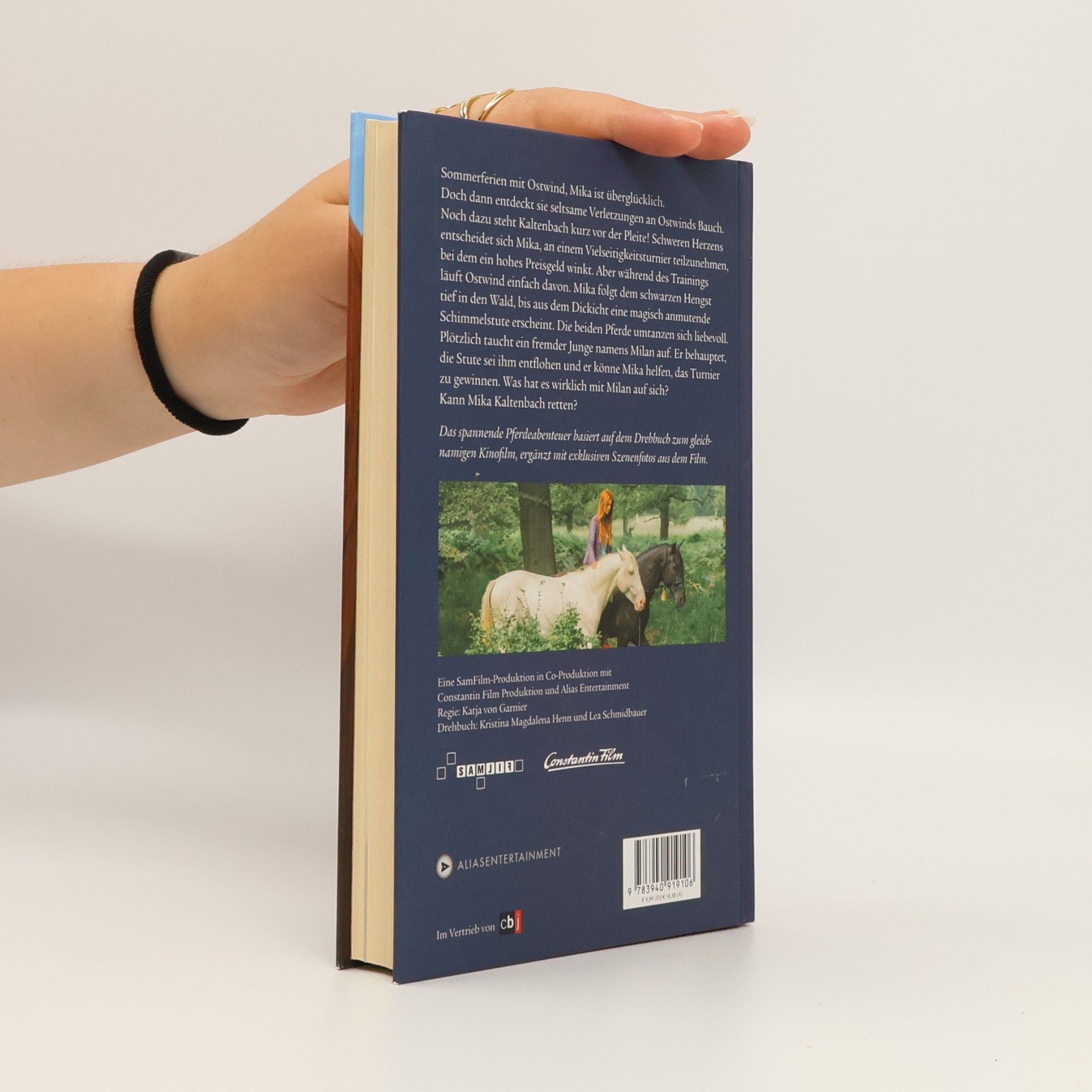 Kristina Magdalena Henn Ostwind 2 - Das Buch zum Film