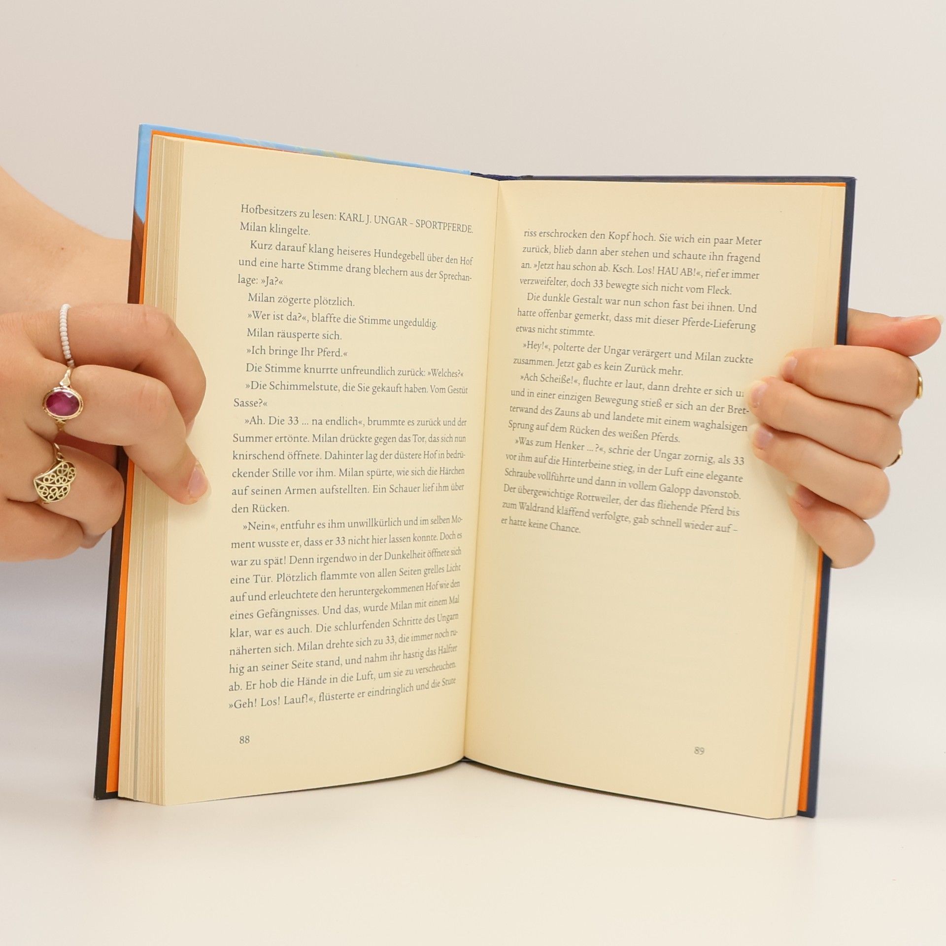 Kristina Magdalena Henn Ostwind 2 - Das Buch zum Film