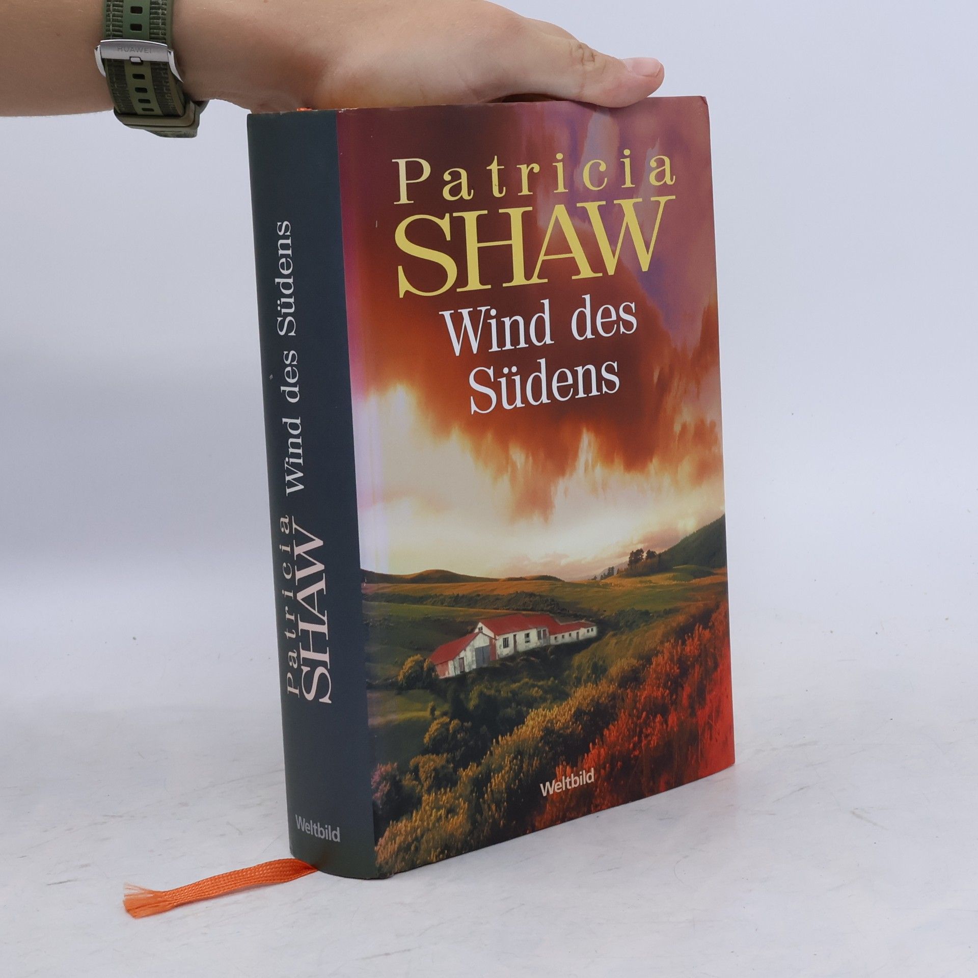 Patricia Shaw Wind des Südens