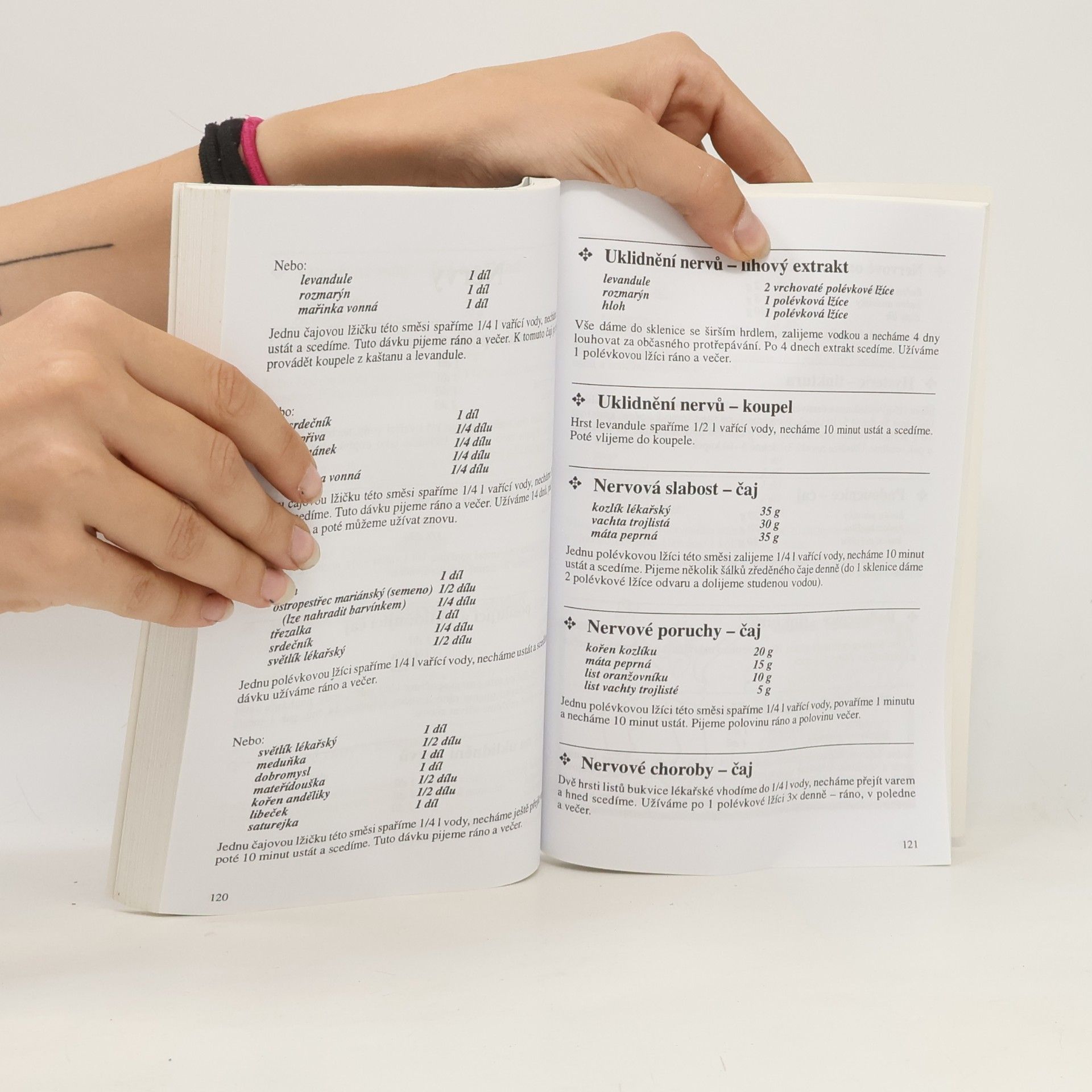 Hana Formánková Bylinkový receptář