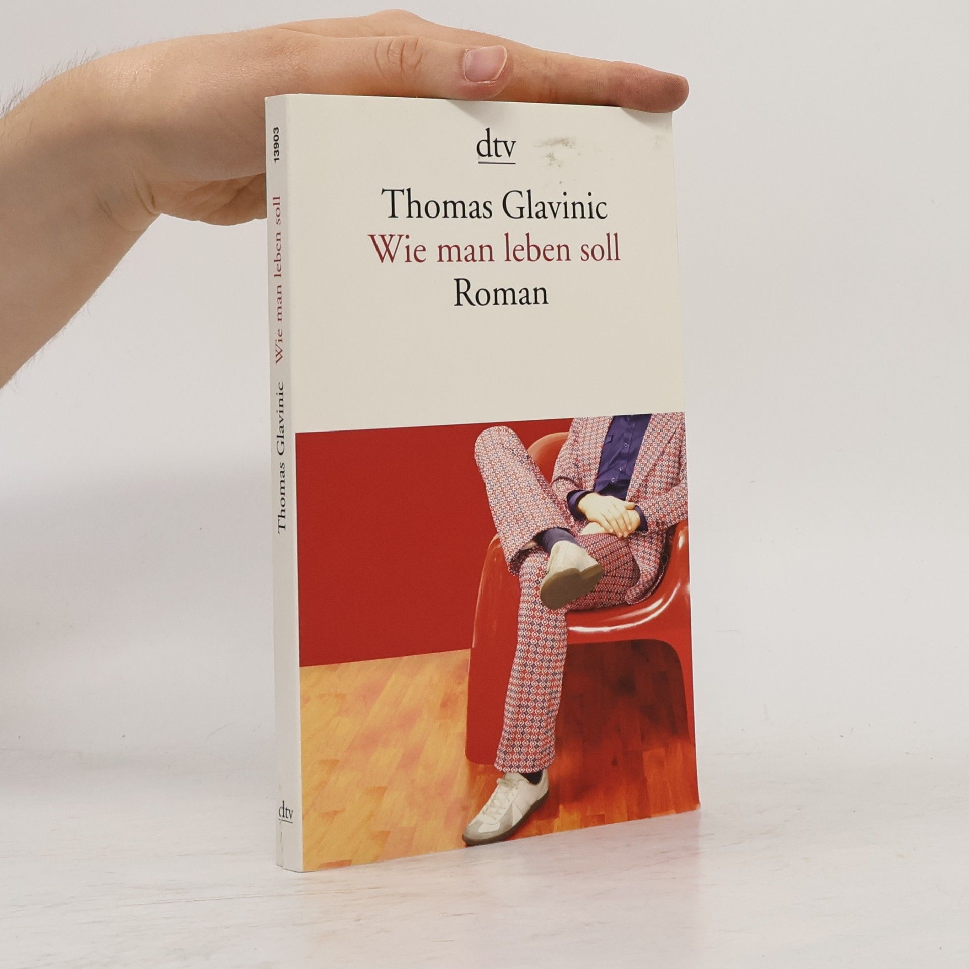 Thomas Glavinic Wie Man leben Soll