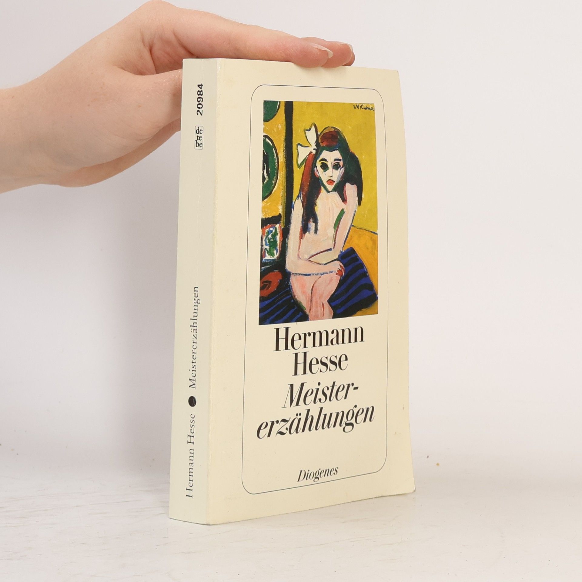 Hermann Hesse Meistererzählungen