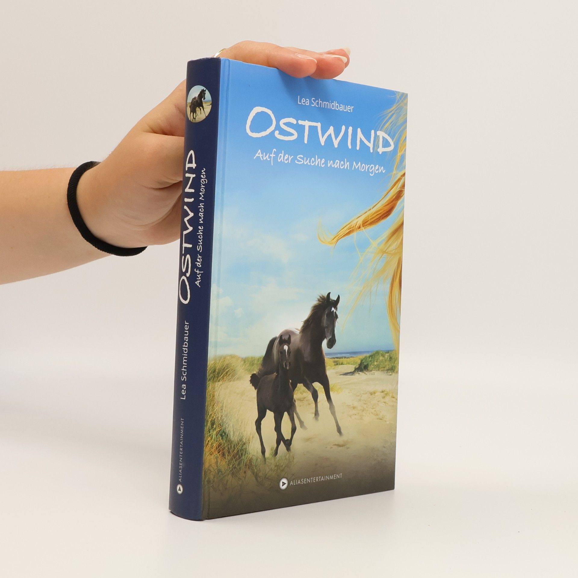 Ostwind - auf der Suche nach Morgen