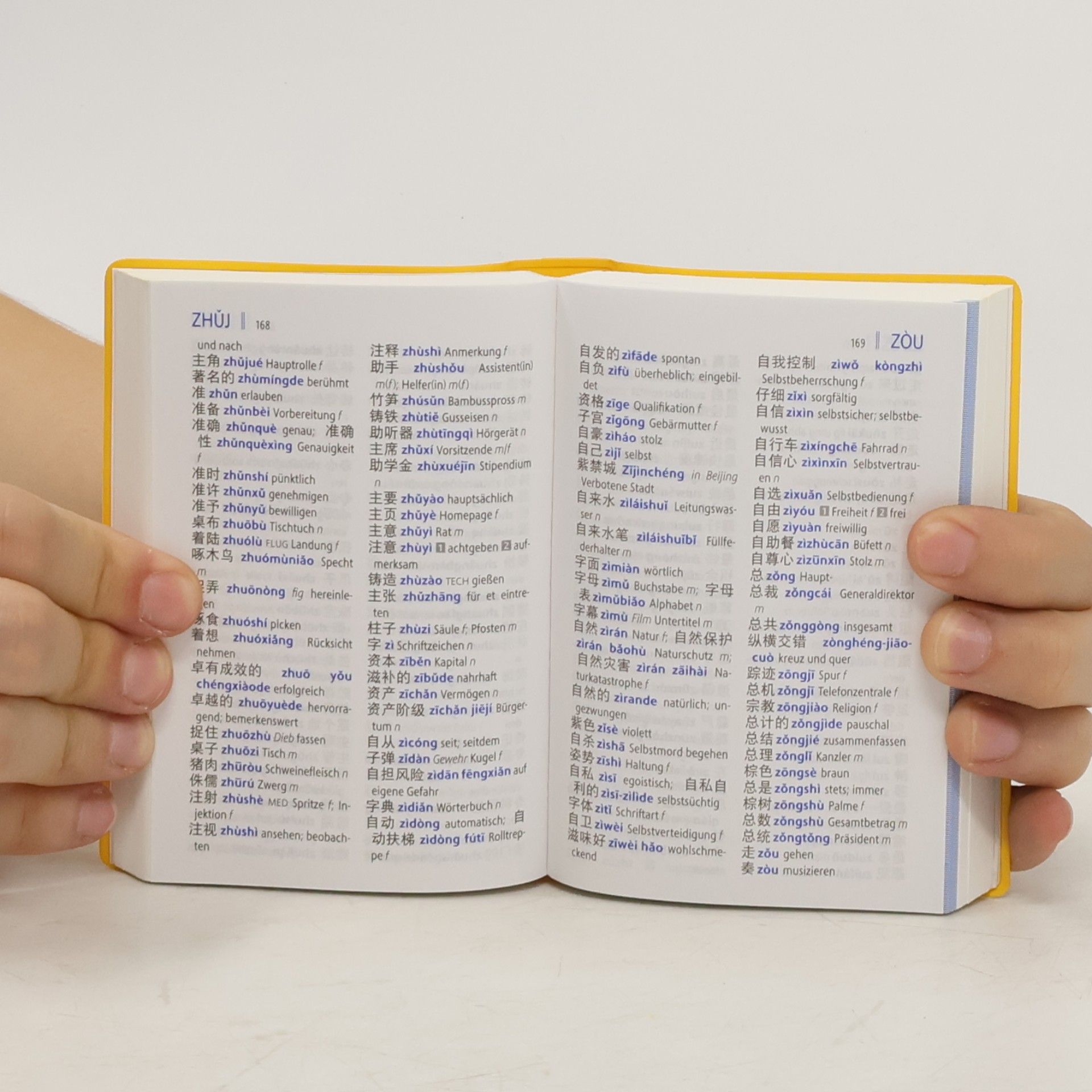 Pu Wang-Schütze Langenscheidt Universal-Wörterbuch Chinesisch