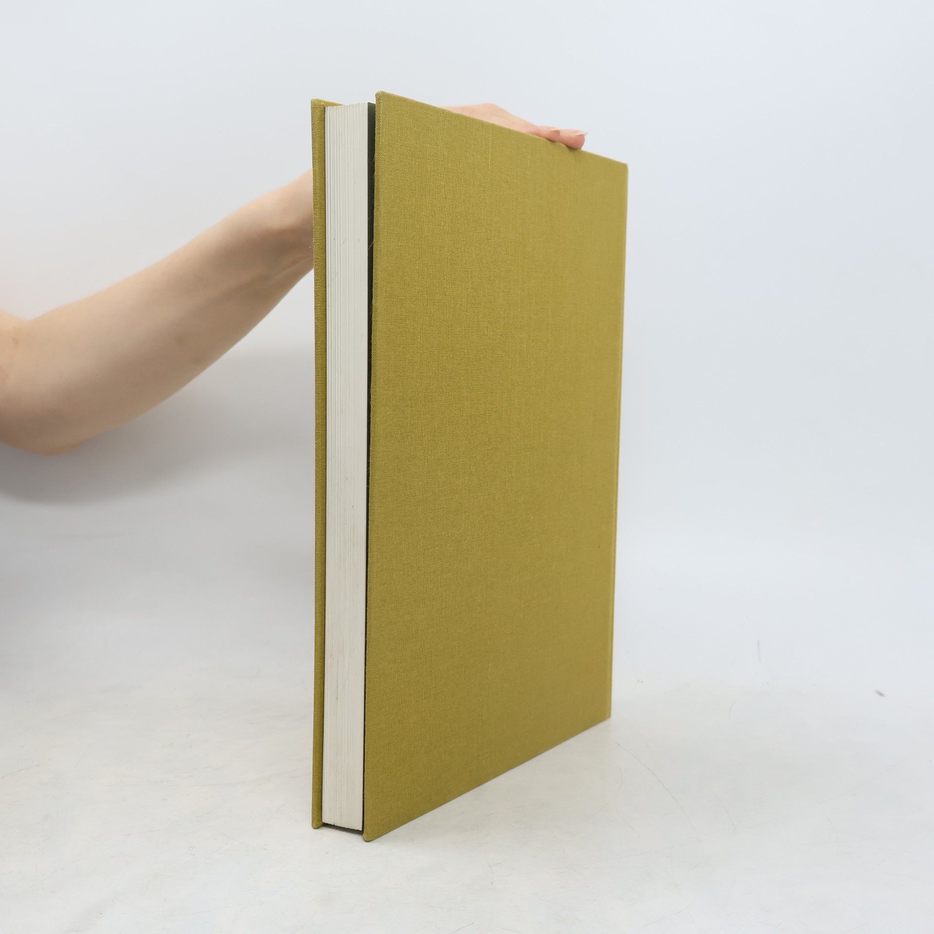 Erich Egg Das Tiroler Krippenbuch