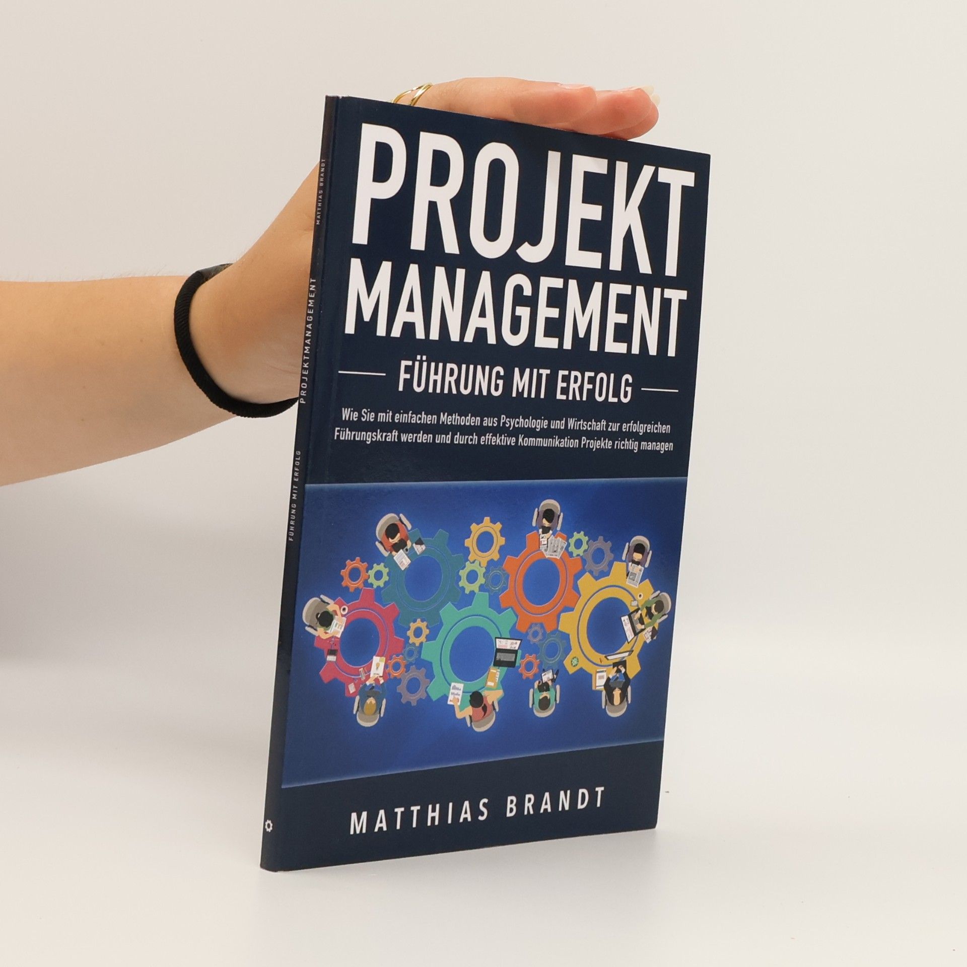 Matthias Brandt Projektmanagement - Führung Mit Erfolg